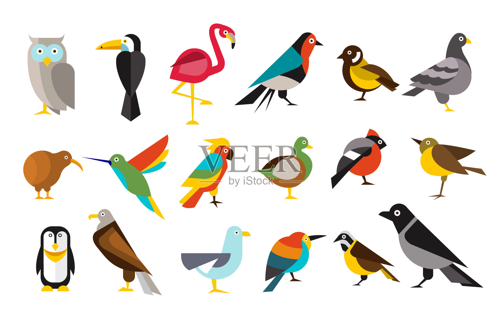 各种鸟类设置彩色矢量插图设计元素图片