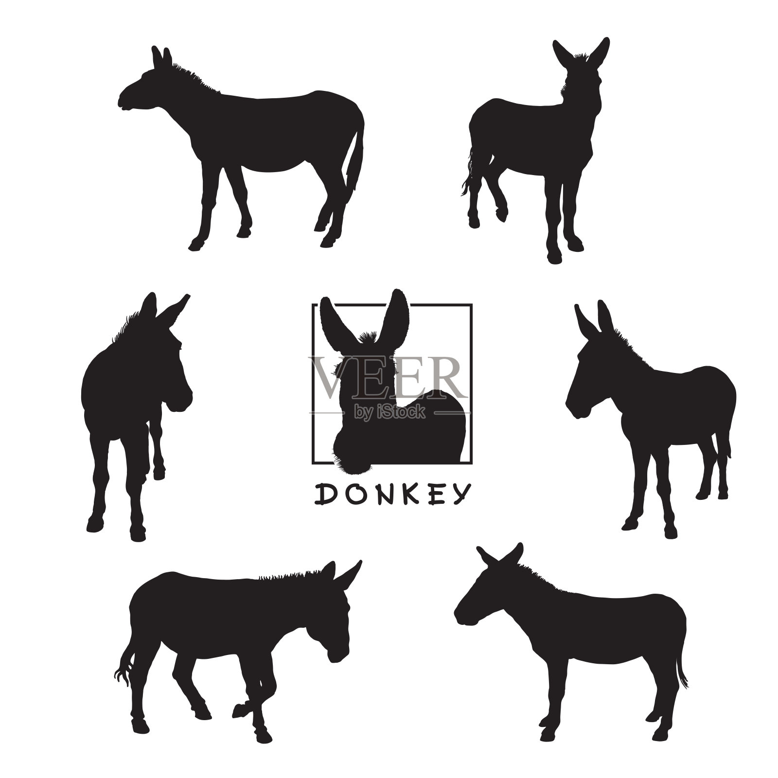 驴子黑色的轮廓孤立在白色的背景上。插画图片素材