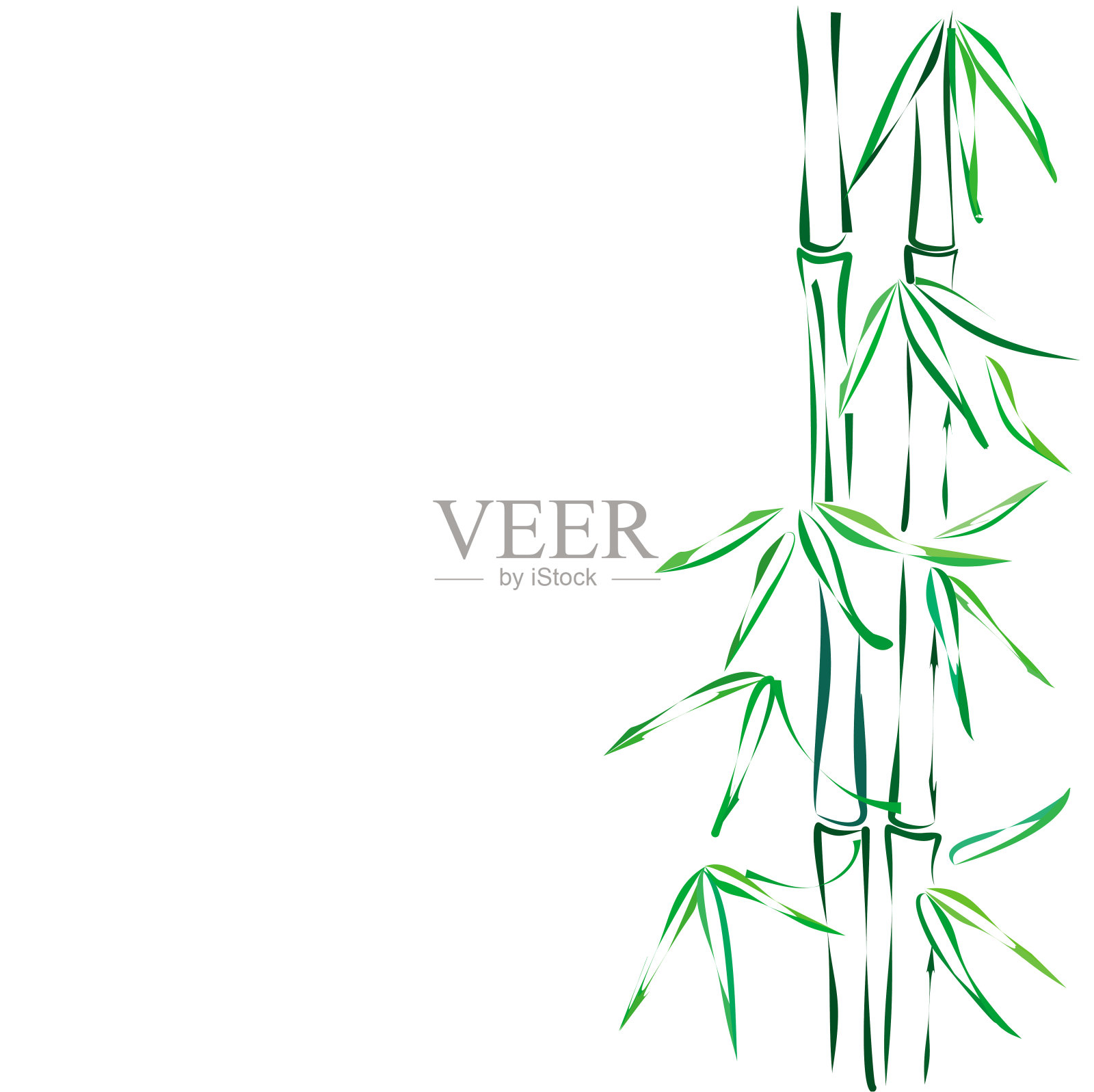 竹子,向量草图。设计元素图片