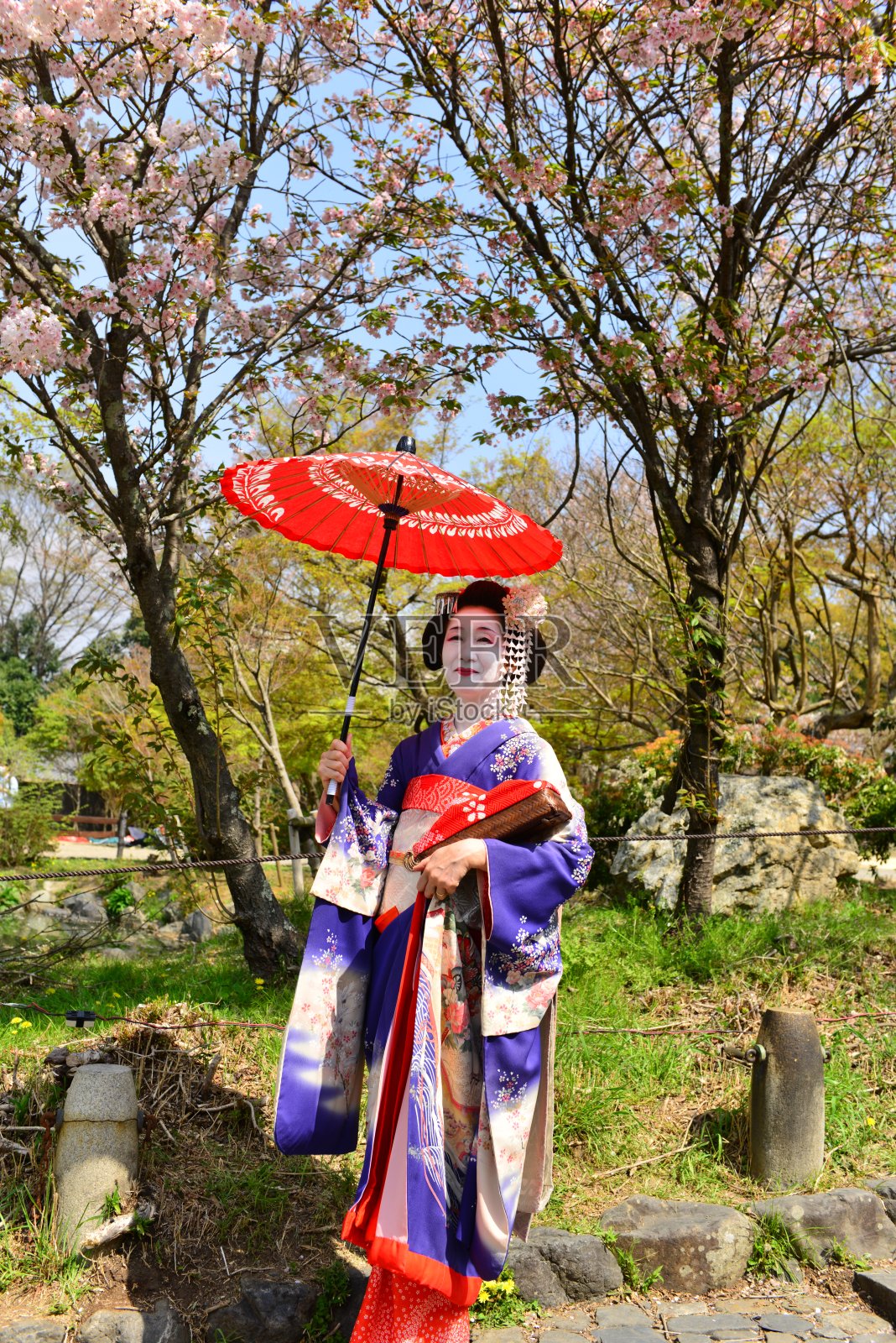 日本妇女在京都的春天享受舞子体验照片摄影图片