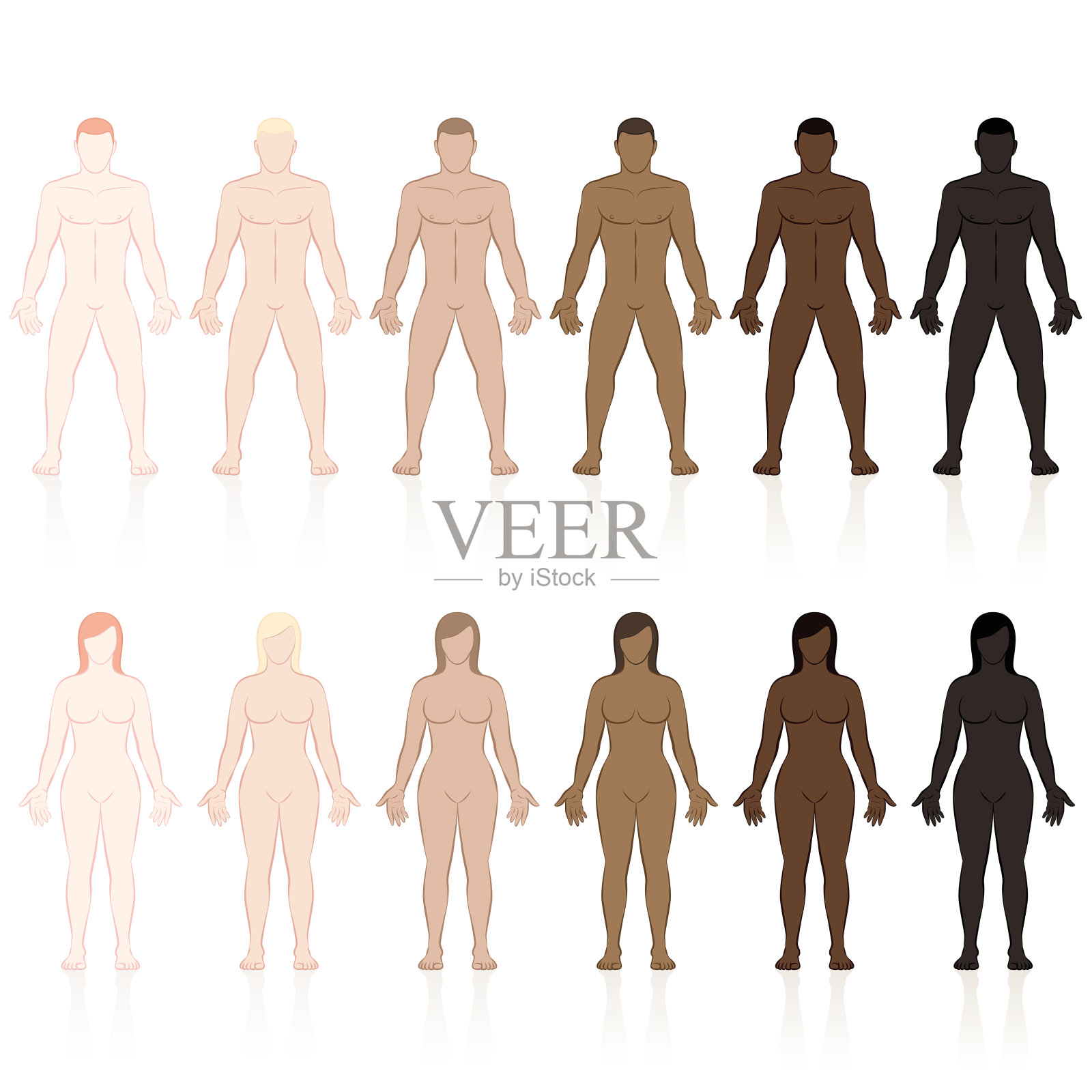 男性和女性有着不同的皮肤类型。非常白，白，中等，橄榄色，棕色和黑色。孤立的矢量插图上的白色背景。插画图片素材
