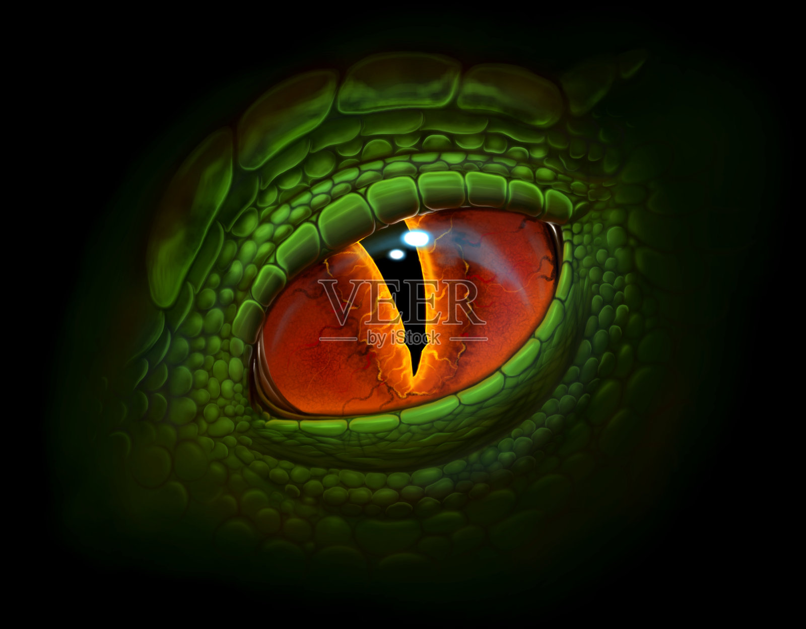 龙的眼睛插画图片素材
