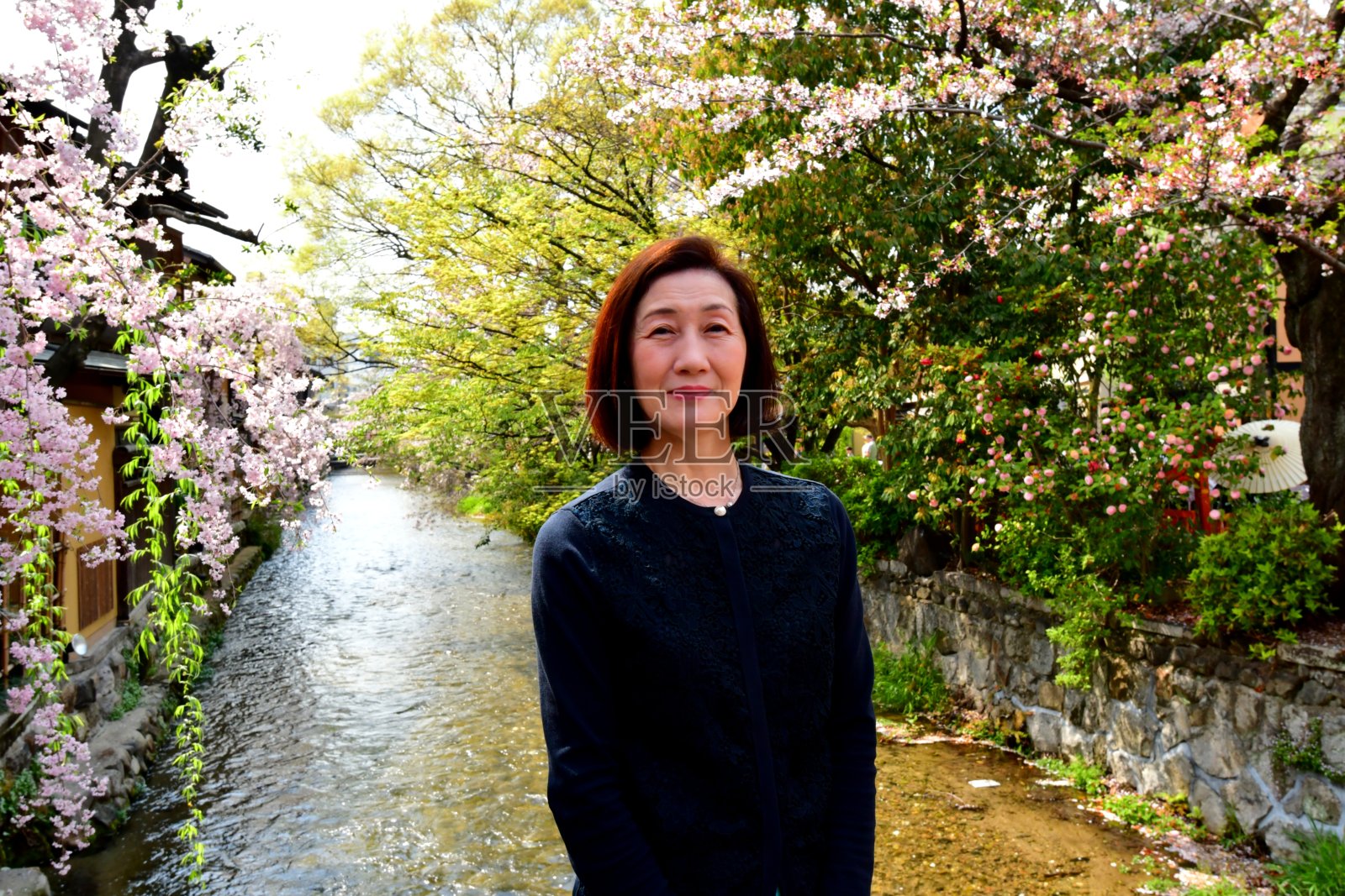 京都园市达见桥上的日本女人和樱花照片摄影图片