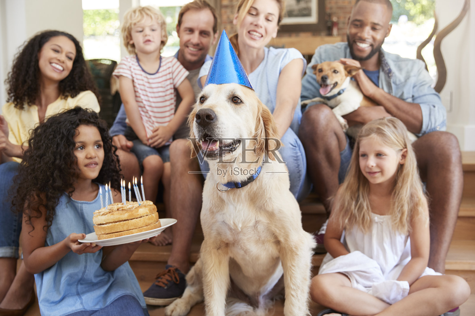 两个家庭庆祝宠物dogÕs生日在家照片摄影图片