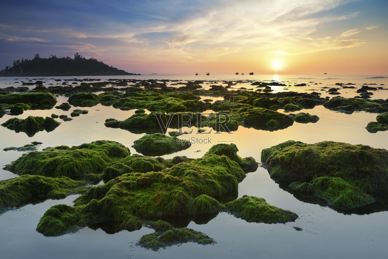 铺满苔藓和海藻的石头迎接着黎明美丽的新一天照片摄影图片