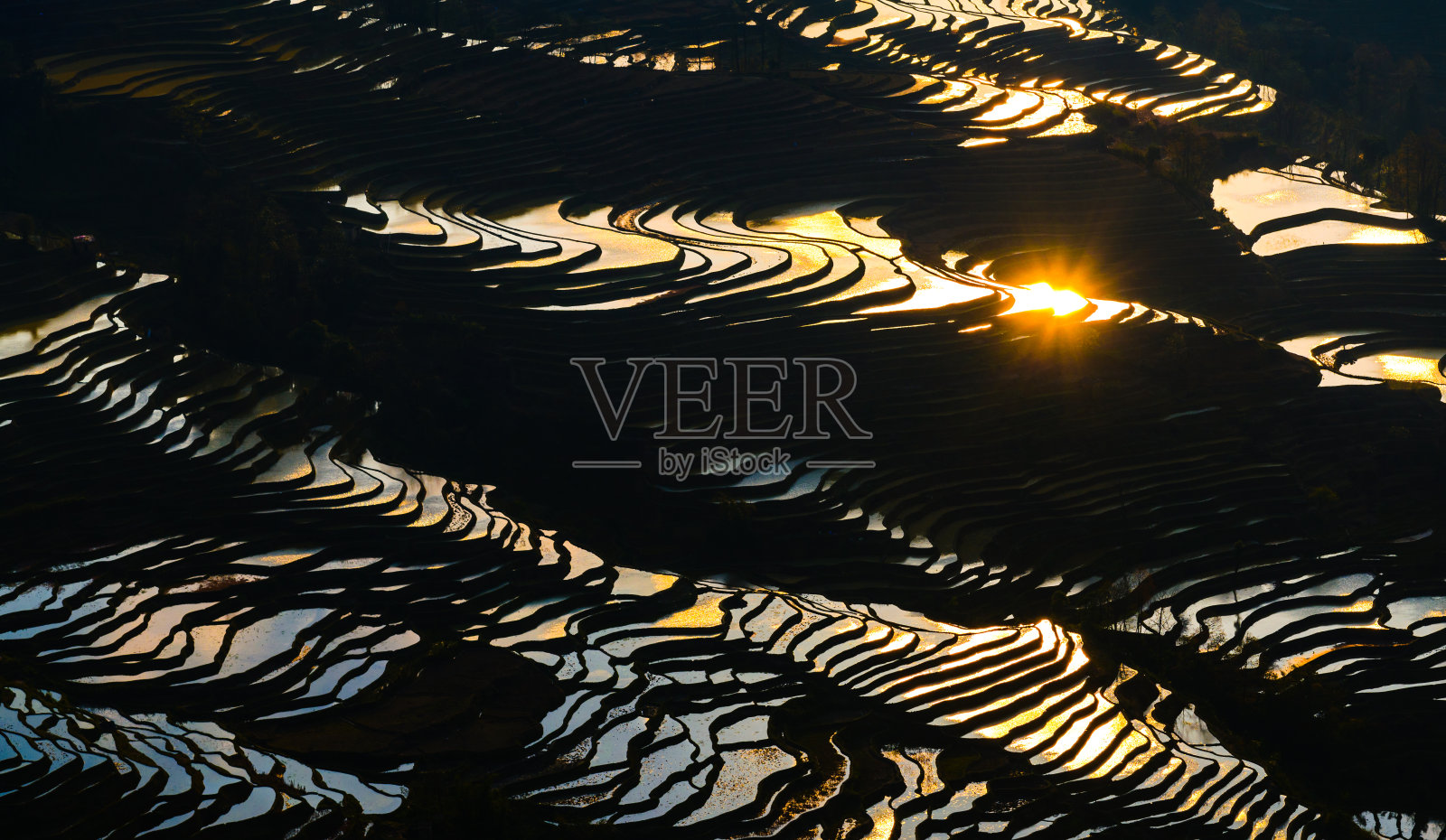 中国云南省，日出时的鸳鸯梯田照片摄影图片
