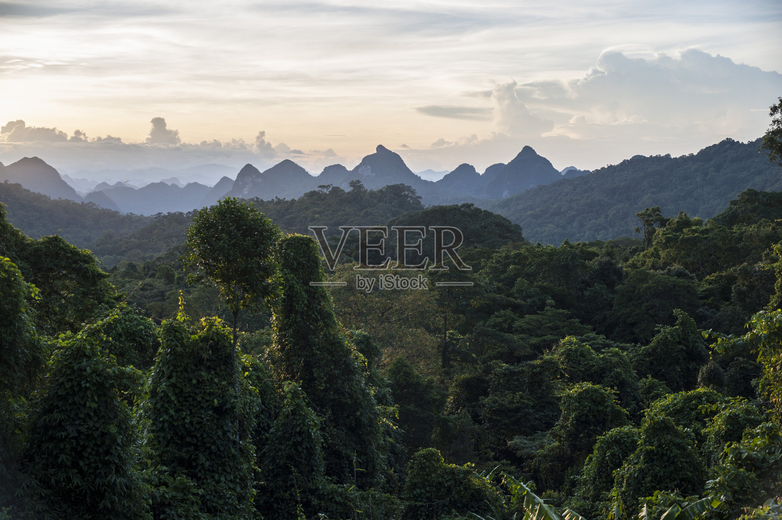 丛林景观和遥远的山脉，溪邦，广平省照片摄影图片