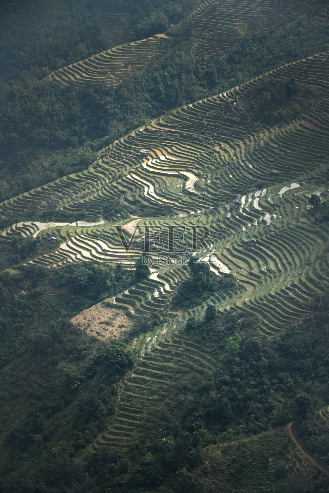 越南桑拉省塔学山区少数民族梯田的神奇景观照片摄影图片