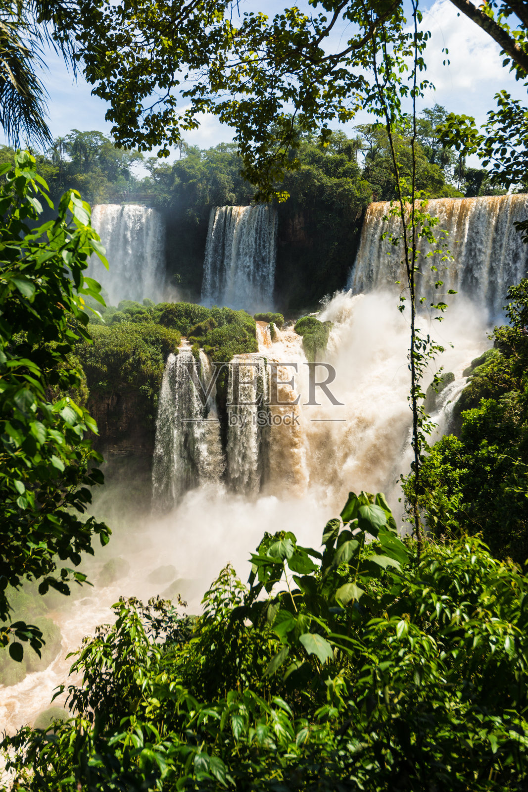 丛林中的伊瓜苏瀑布照片摄影图片