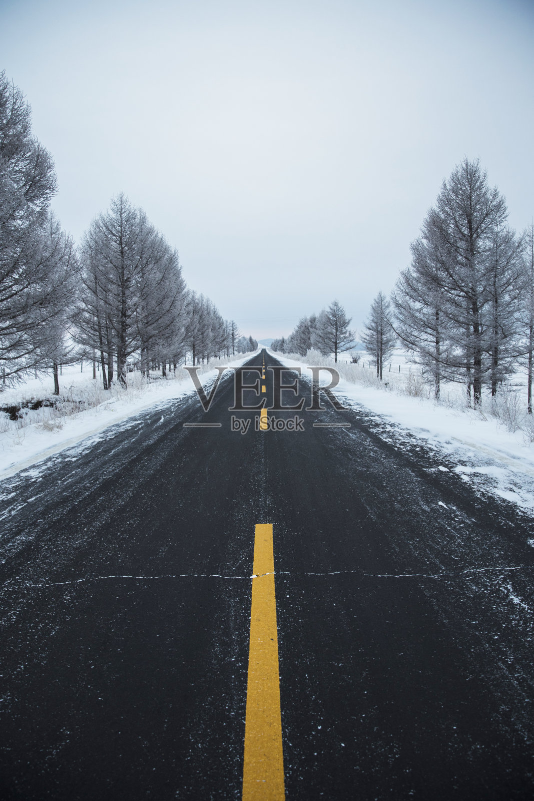 冬天的路照片摄影图片