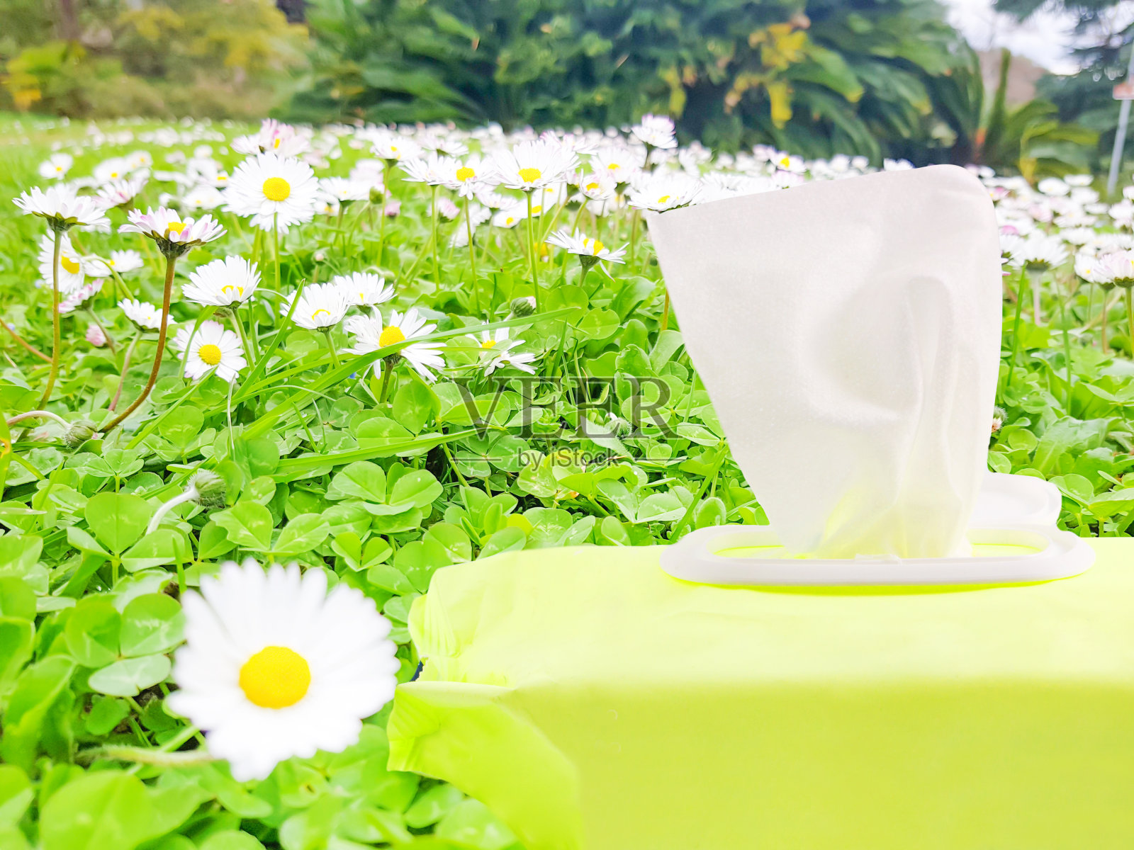 空白包装纸湿巾或婴儿湿巾在绿草与白花花园户外自然背景。照片摄影图片