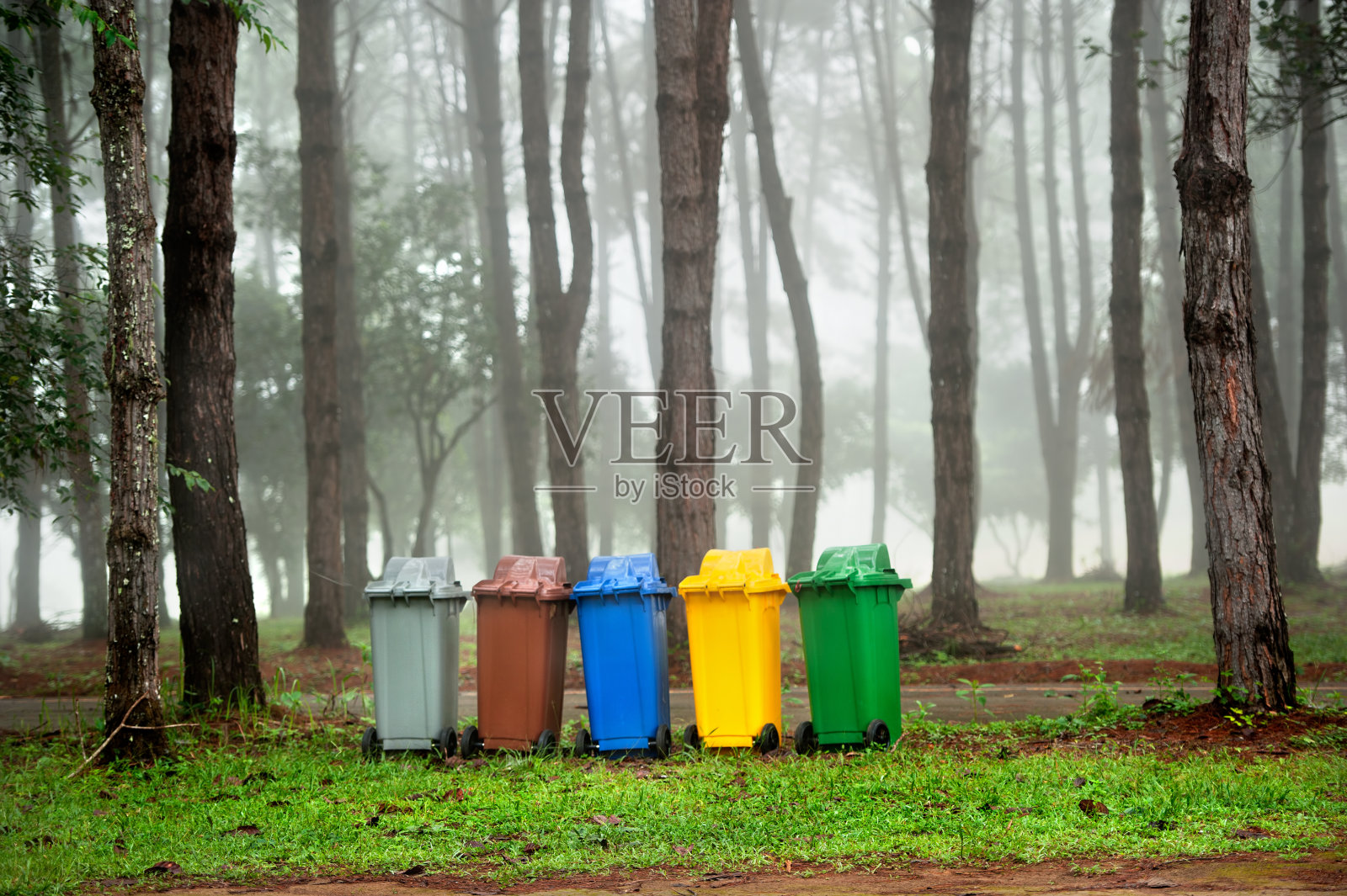 松林中的五色垃圾桶照片摄影图片