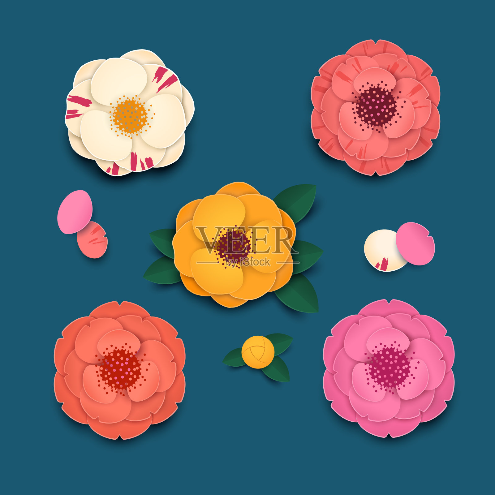 彩色山茶花与叶子和花瓣在蓝色的背景插画图片素材