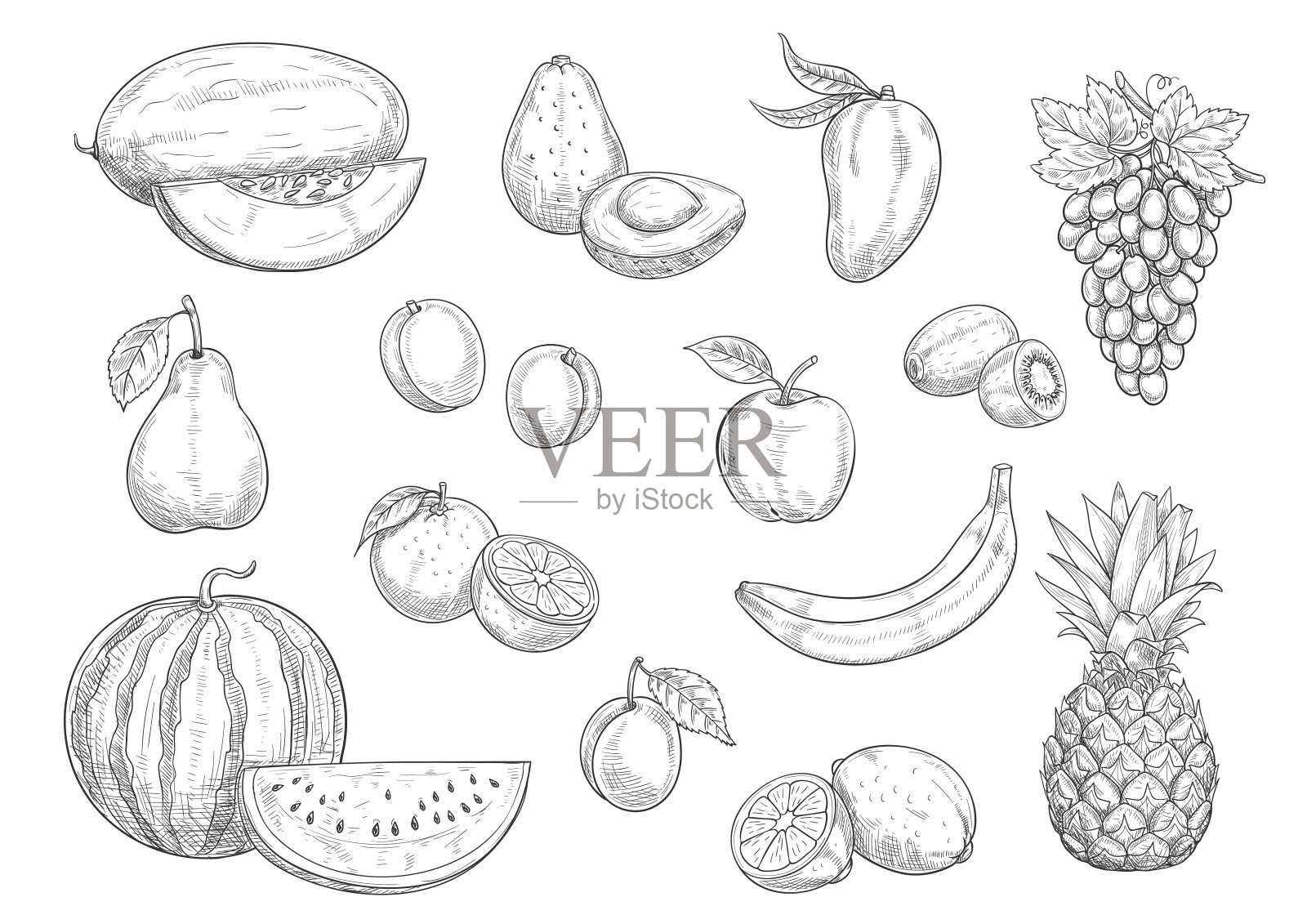 水果隔离素描集食品，果汁设计插画图片素材