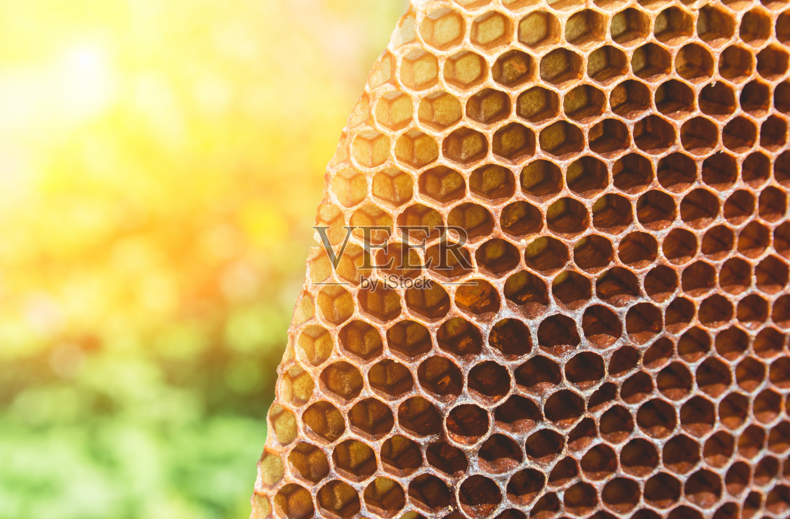 蜜蜂箱制作方法内容|蜜蜂箱制作方法图片