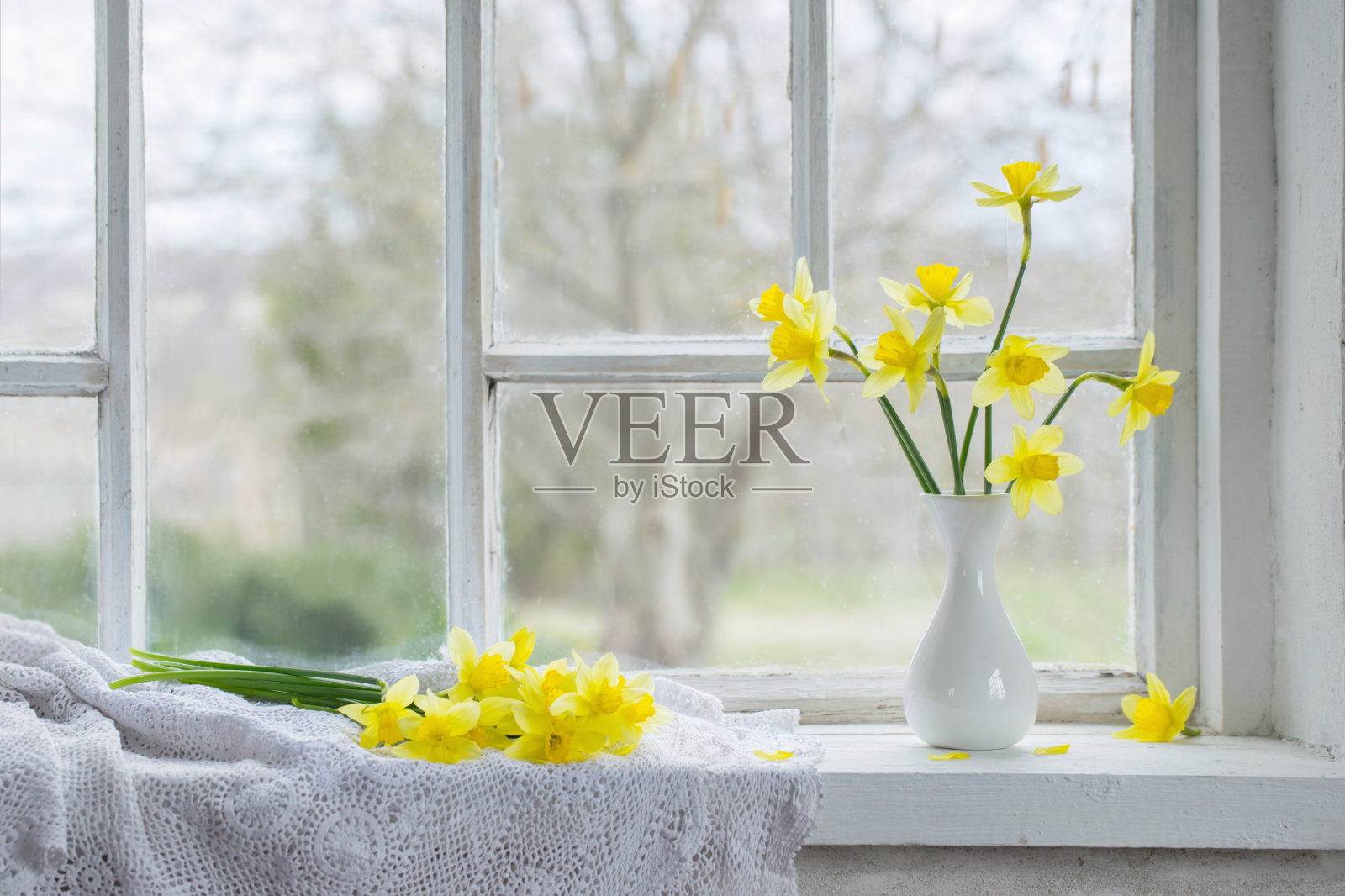 窗台上黄澄澄的春花照片摄影图片