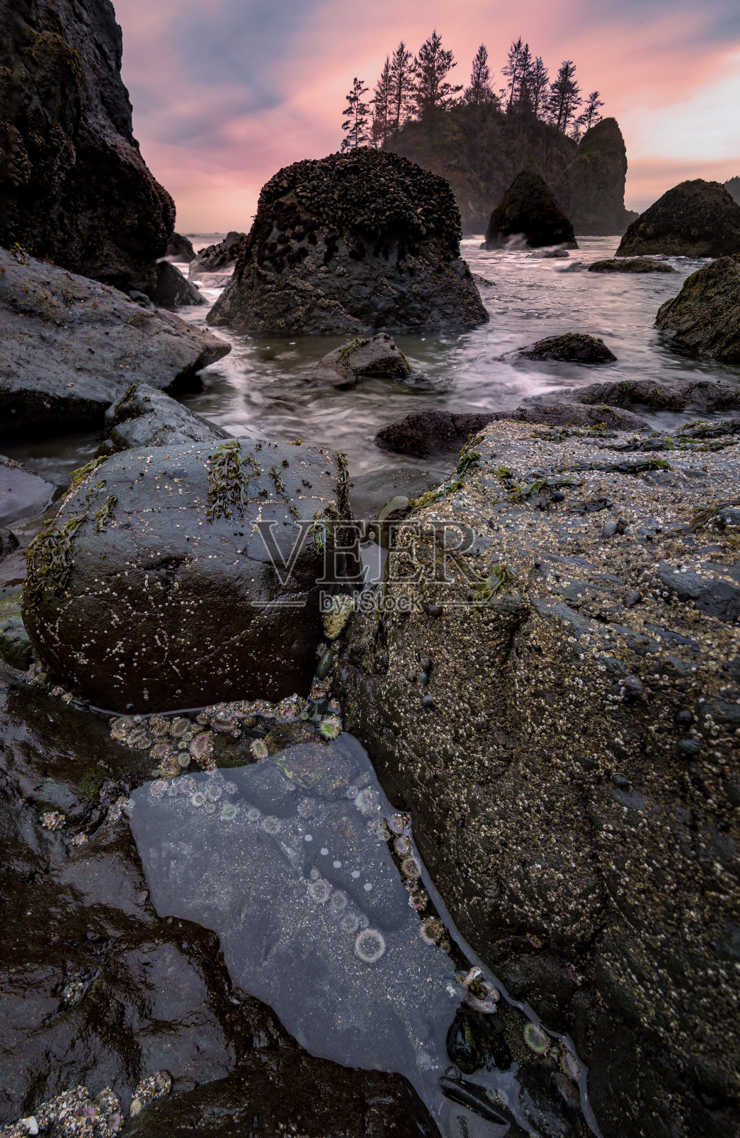 岩石海滩，潮汐池，风景在日落照片摄影图片