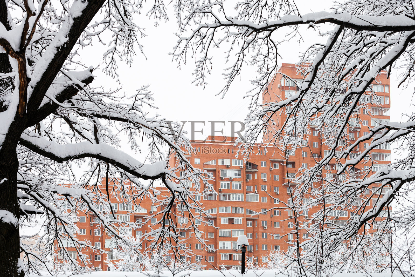 从被雪覆盖的树枝看房子照片摄影图片