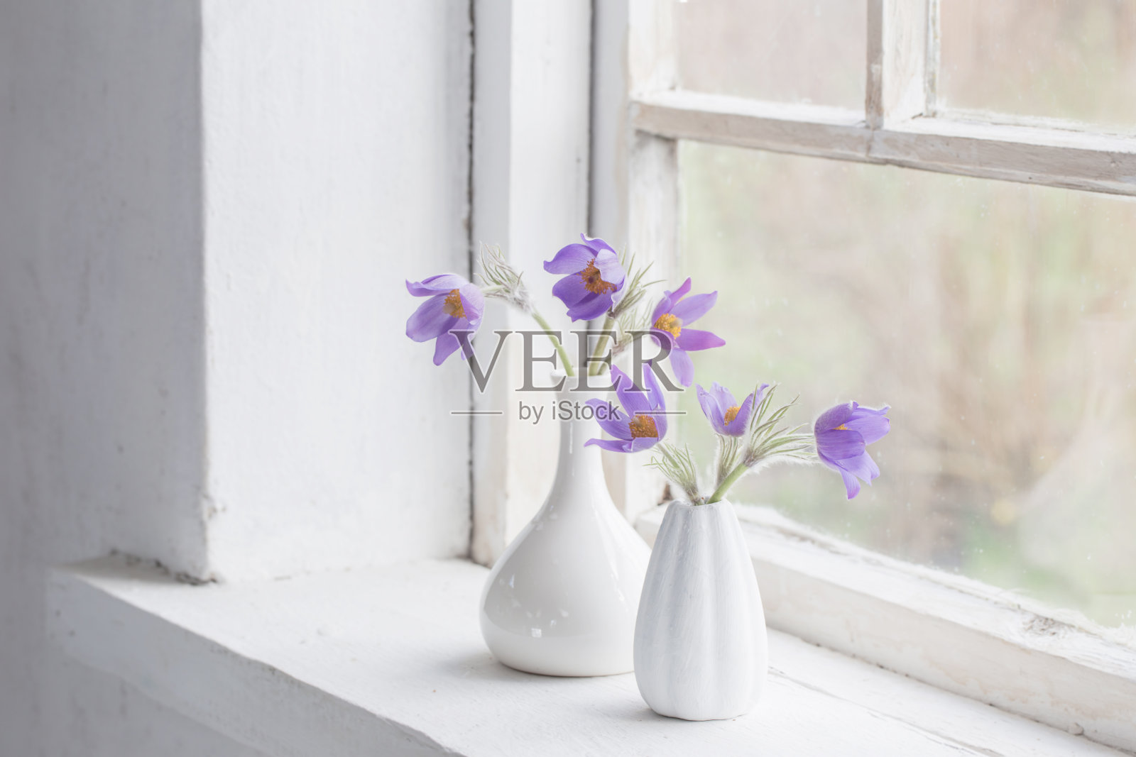 窗台上花瓶里的白头花照片摄影图片