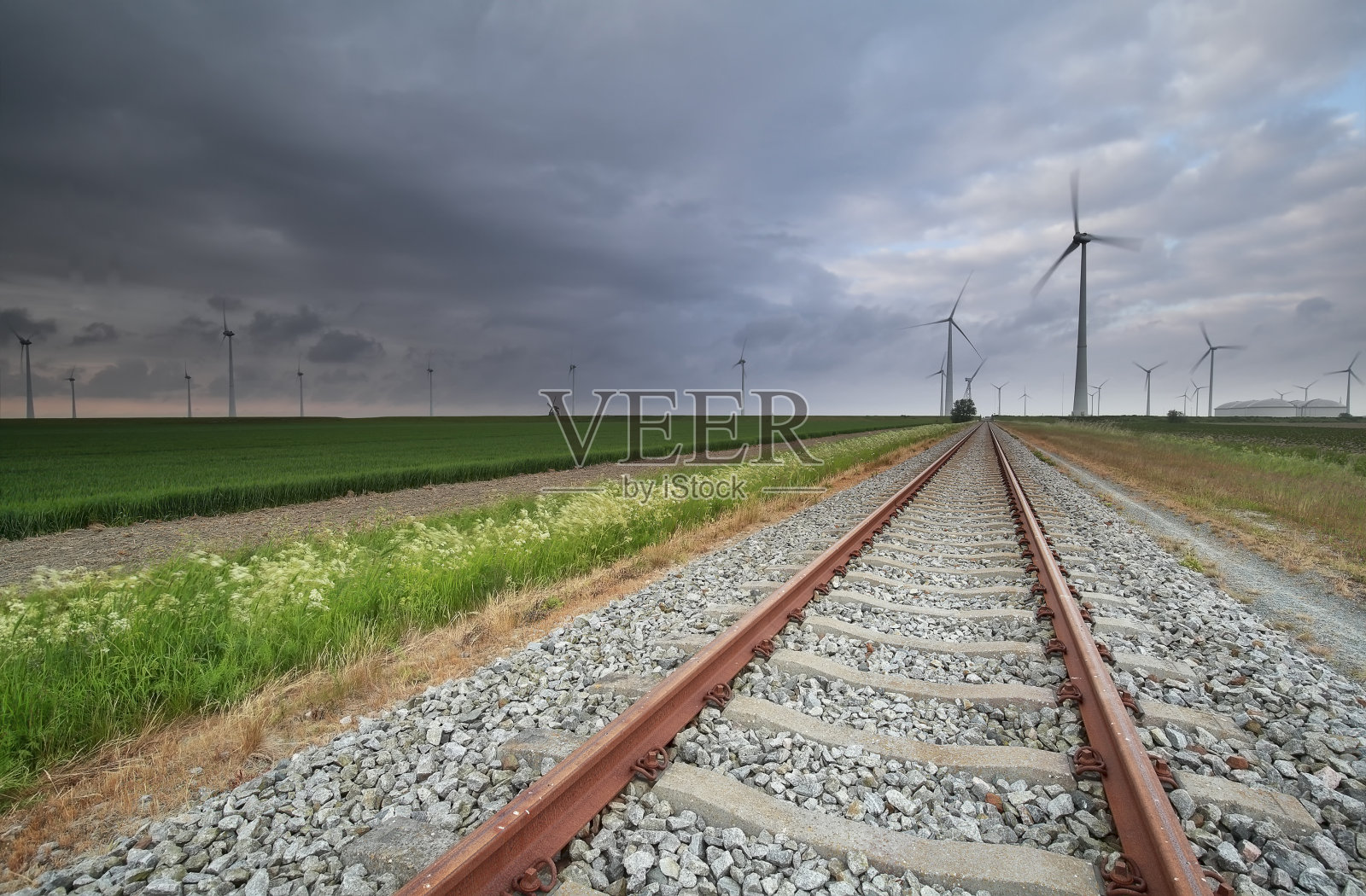 铁路在荷兰的农田在夏天照片摄影图片