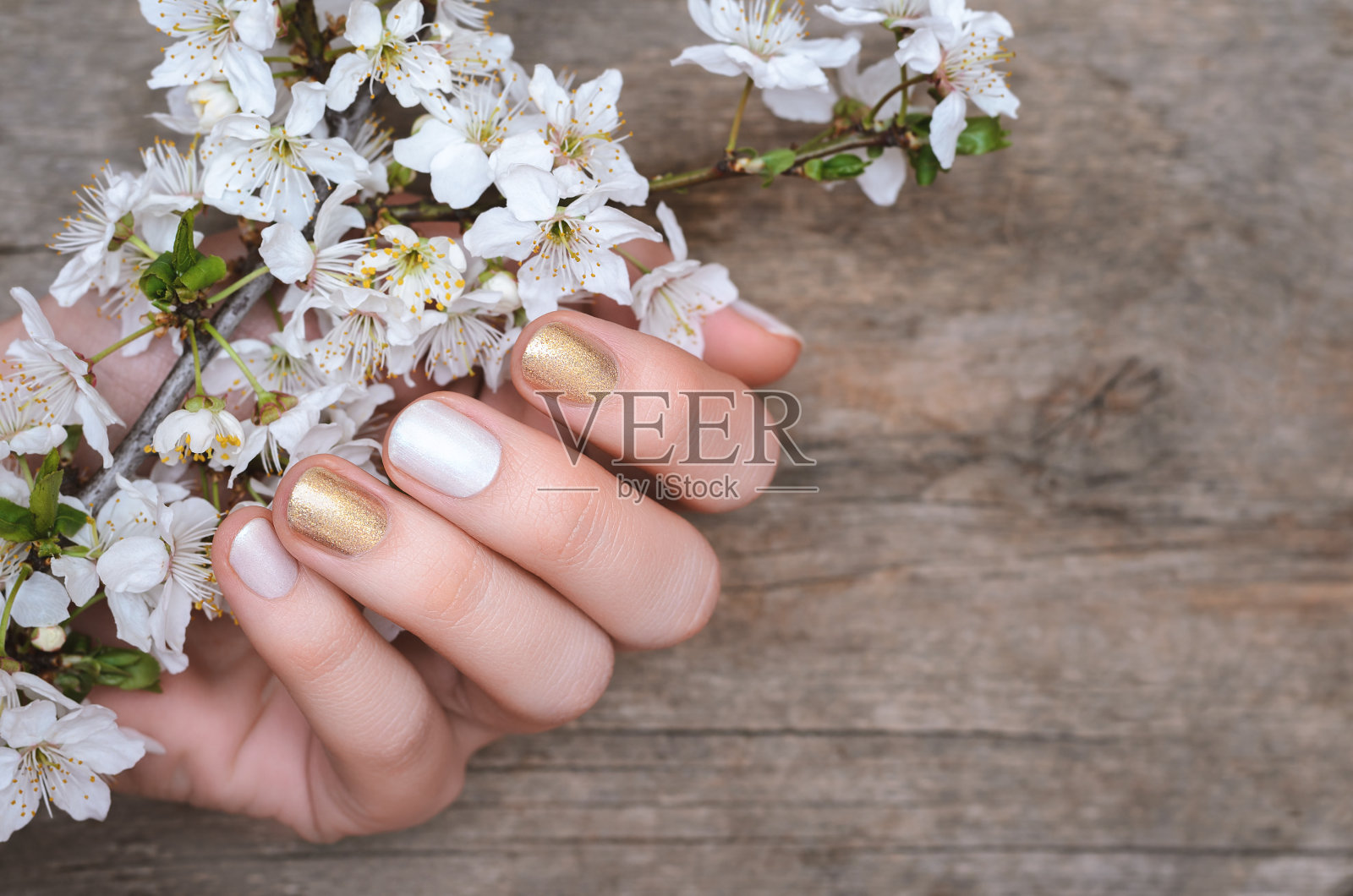 女性的手与白色和金色的指甲设计照片摄影图片