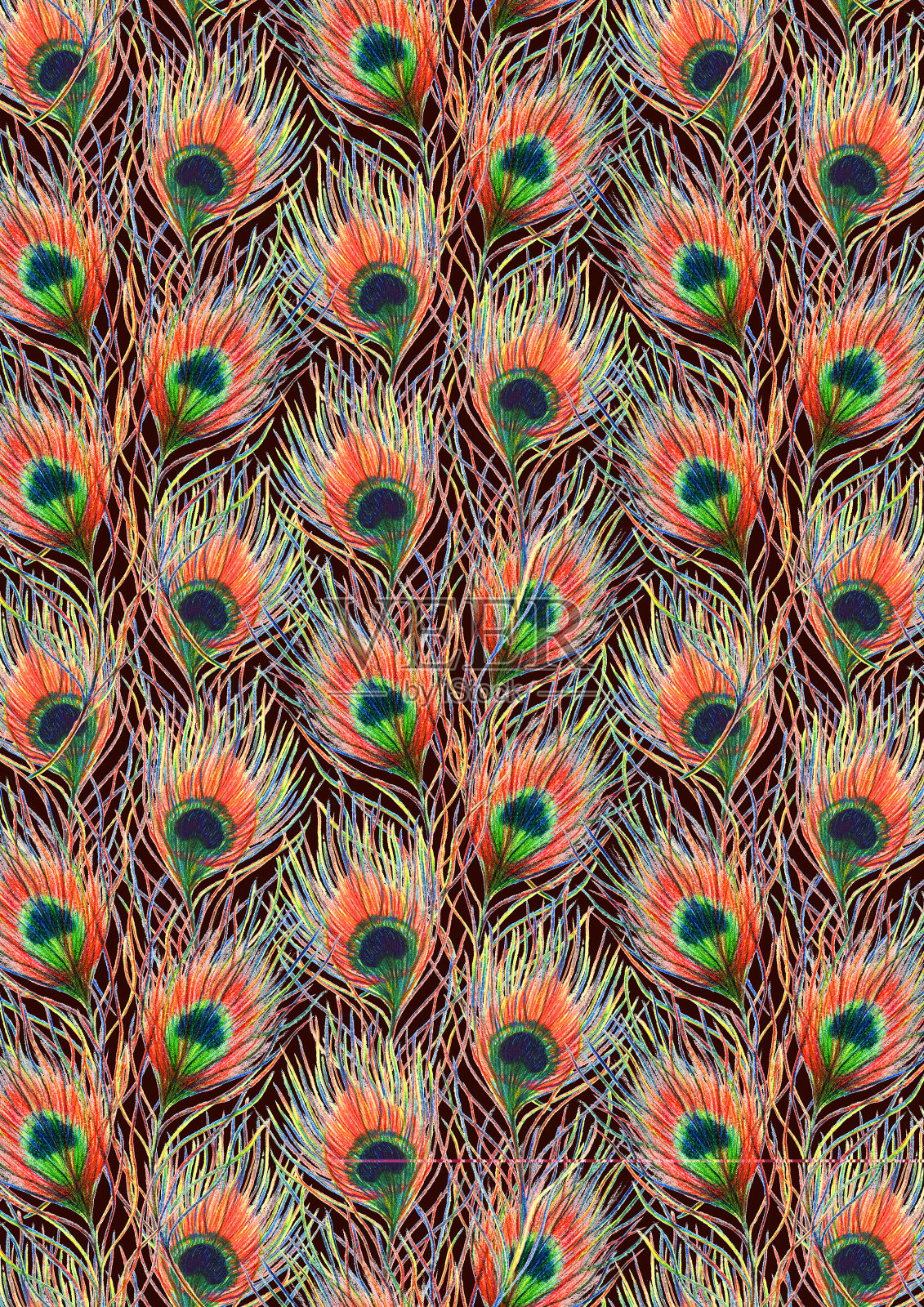 彩虹色彩丰富的孔雀鸟羽毛背景图案纹理插画图片素材