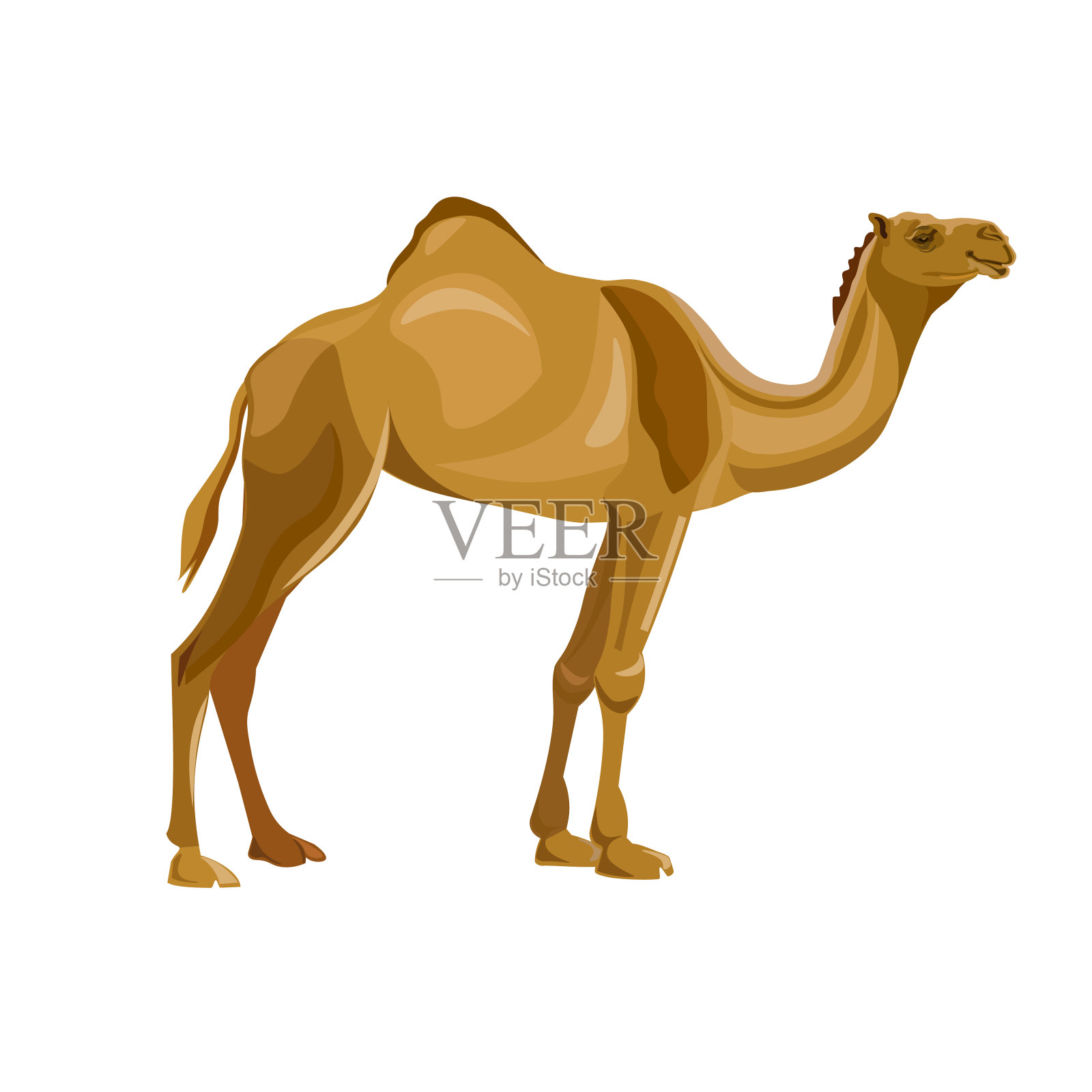 单峰骆驼骆驼向量。设计元素图片