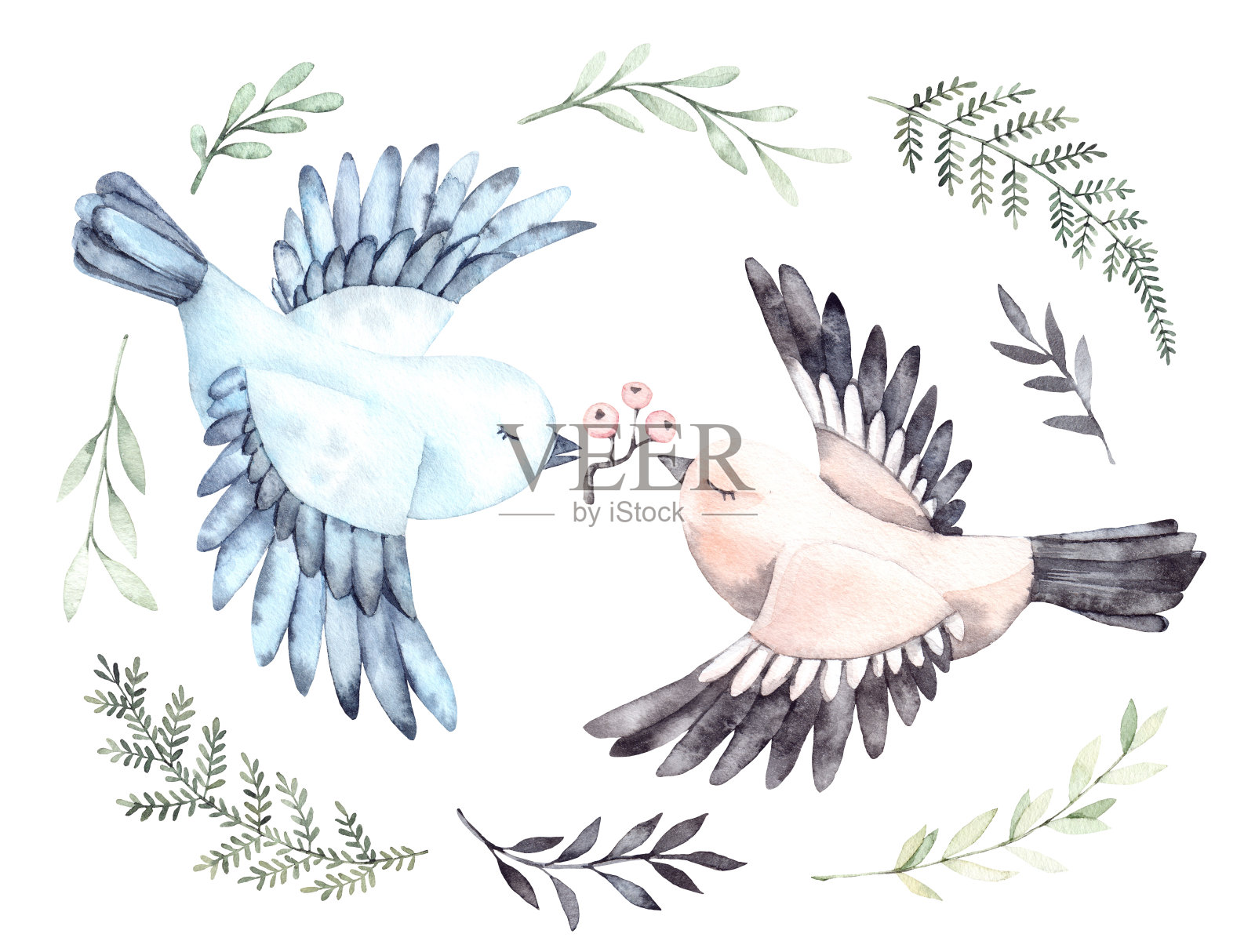 水彩插图。两只可爱的小鸟，长着绿色的枝叶。春天的心情。花的设计元素。完美的邀请，明信片，印刷品和海报插画图片素材