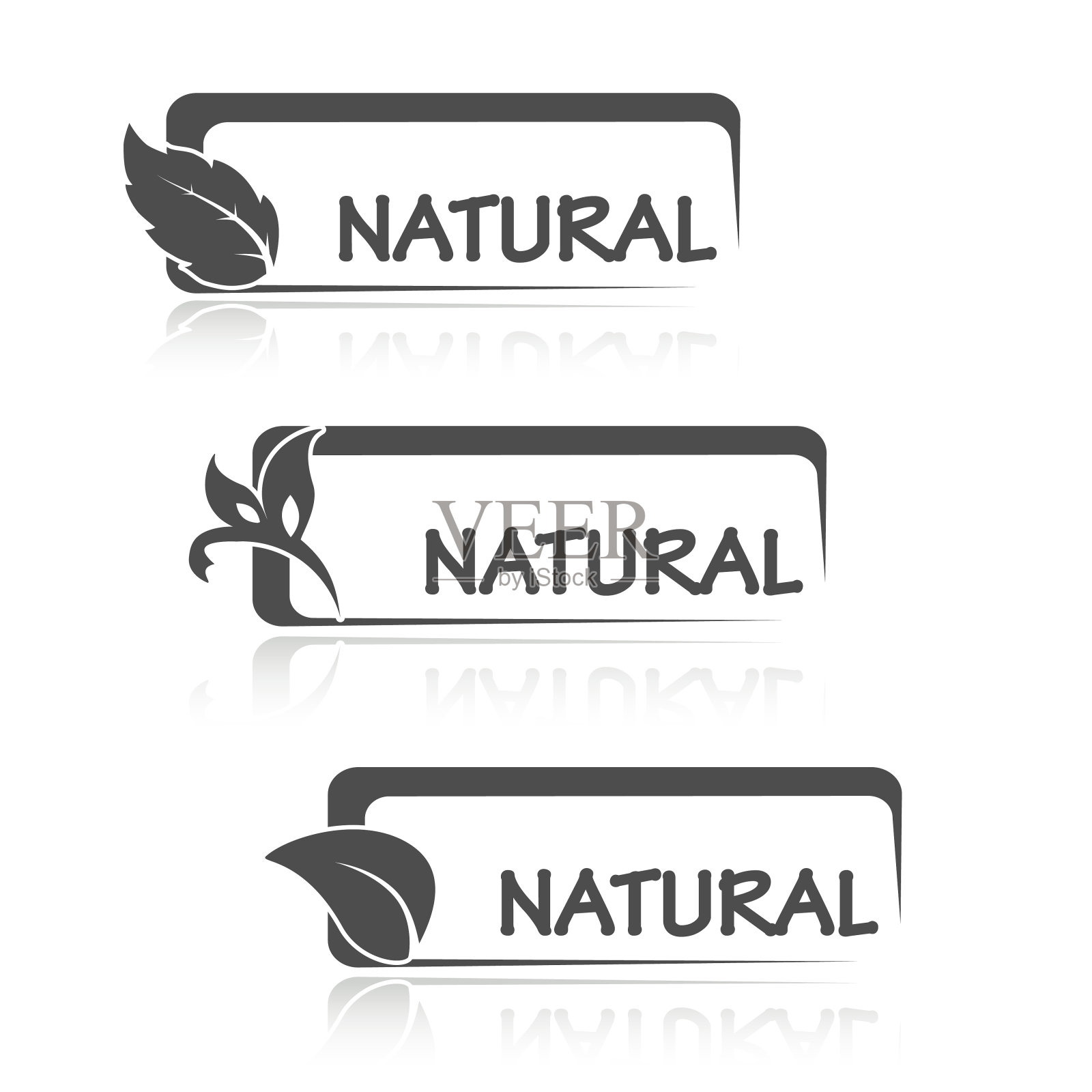向量自然黑白符号与叶插画图片素材