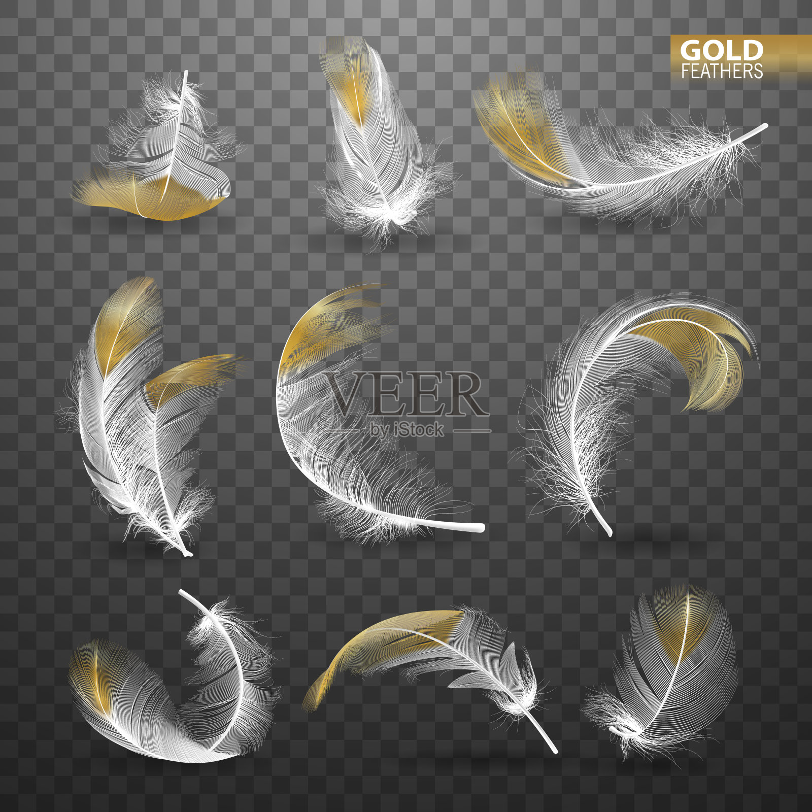 一套孤立的黄金下落白色蓬松的旋转羽毛在透明的背景在现实主义风格。矢量图设计元素图片