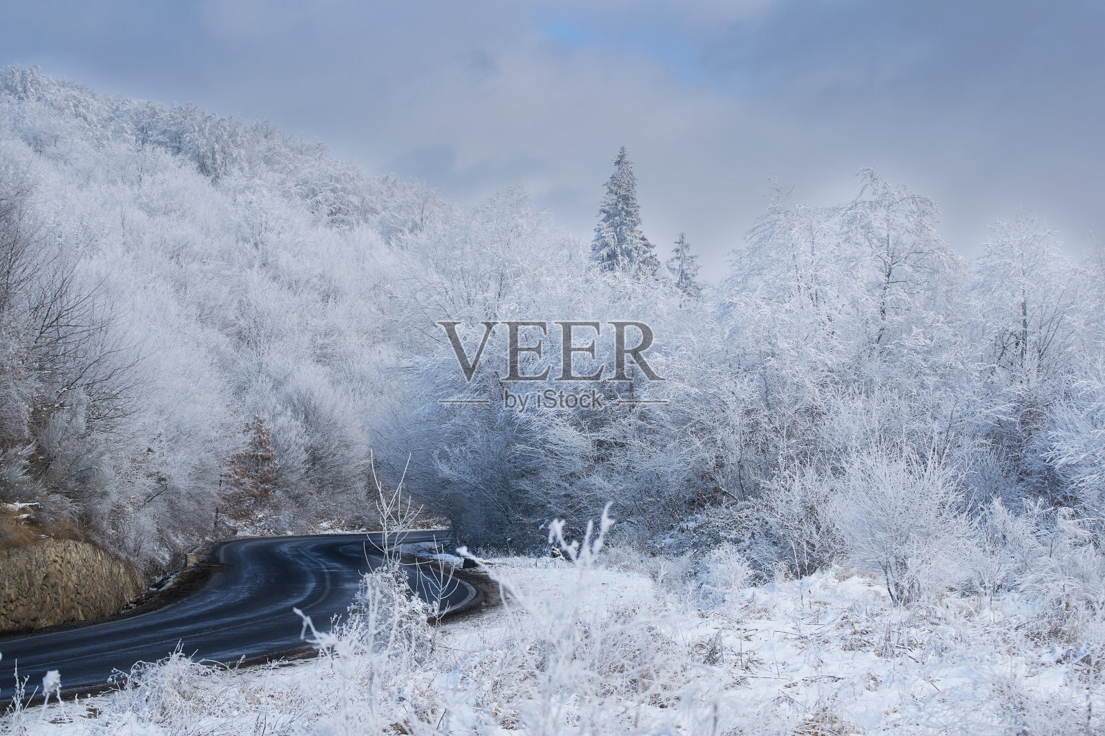冬天的风景与黑色的道路通过树木与雪照片摄影图片