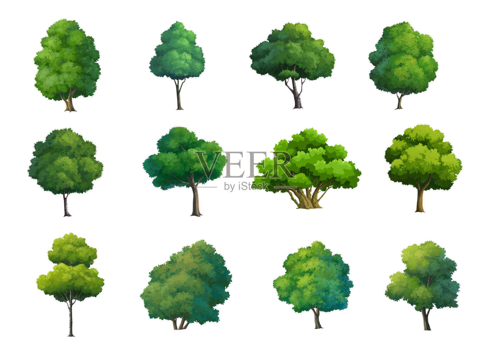 树木孤立在白色背景上的插图。设计元素图片