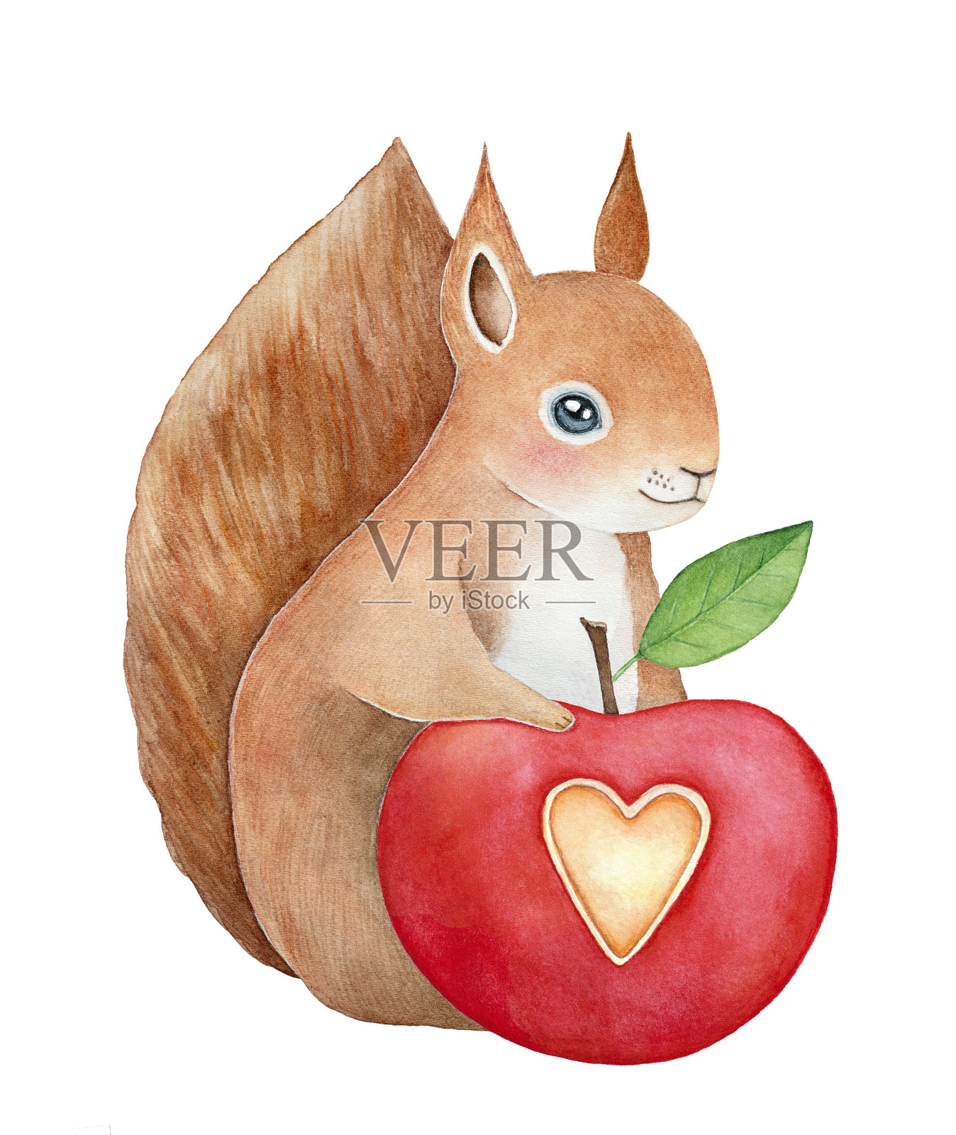 有趣的微笑松鼠的性格，毛茸茸的尾巴保持红色的风格苹果心形的切割和小绿叶。设计元素图片