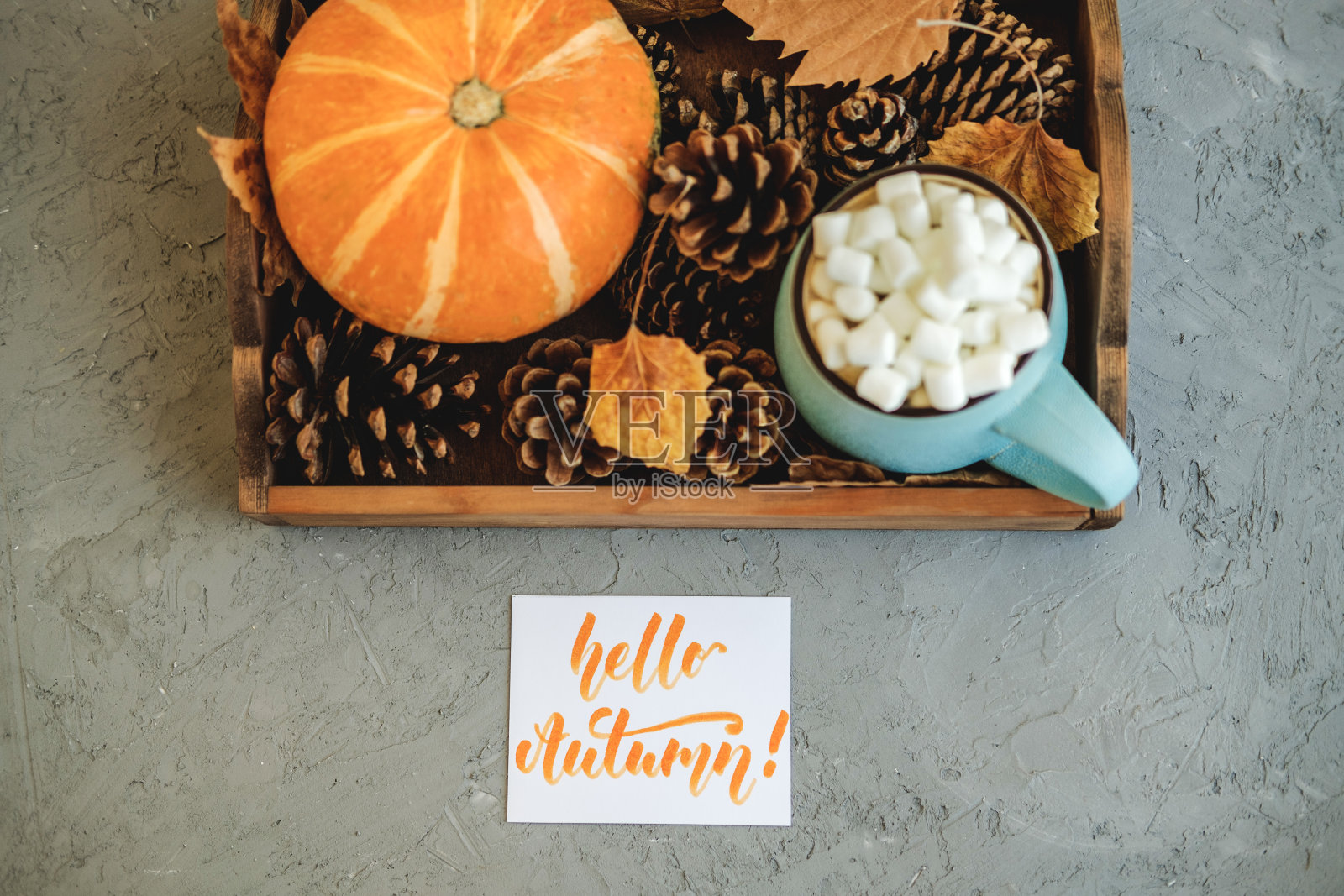 秋天的静物，托盘里装满了南瓜，树叶，蛋筒，一杯可可，咖啡或热巧克力和棉花糖，并在混凝土背景上签名你好秋天。概念温馨家的舒适。照片摄影图片