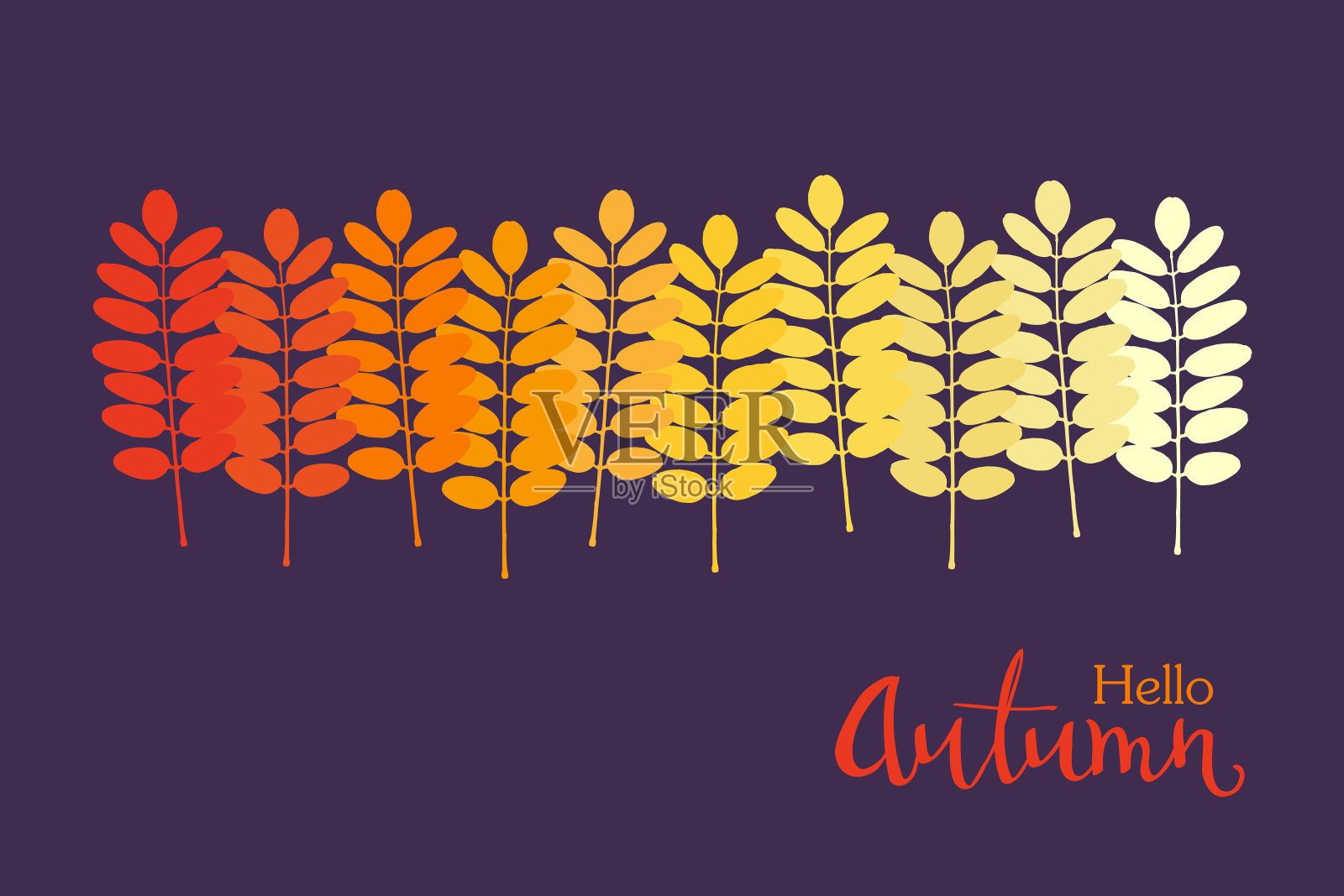 你好秋天字母与彩色的相思叶剪影在紫罗兰的背景。红色，橙色，黄色。插画图片素材