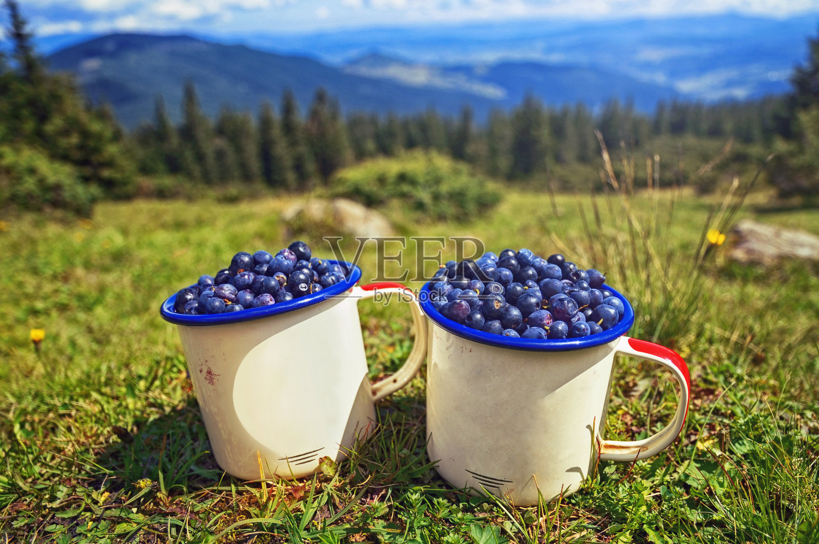 两杯蓝莓，背景是阳光明媚的山草和小山照片摄影图片