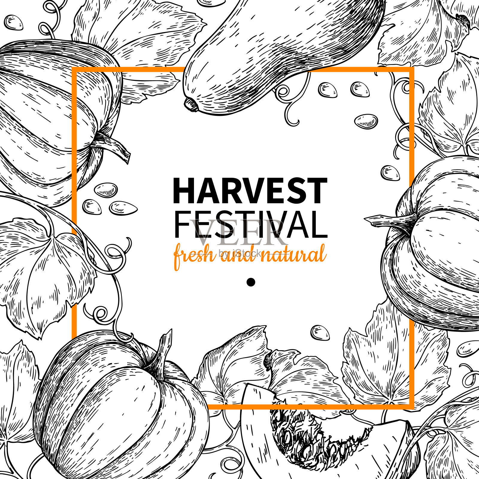 南瓜矢量框架。手绘vintage Harvest festival插图。农贸市场速写海报插画图片素材