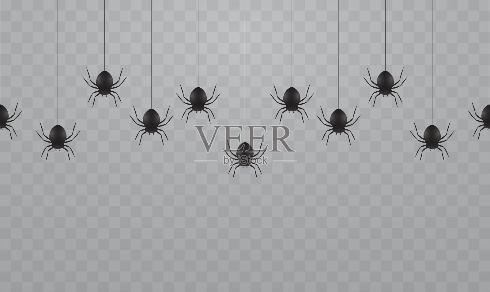 透明的背景上悬挂着黑色的蜘蛛。万圣节蜘蛛网上吓人的蜘蛛。插画图片素材