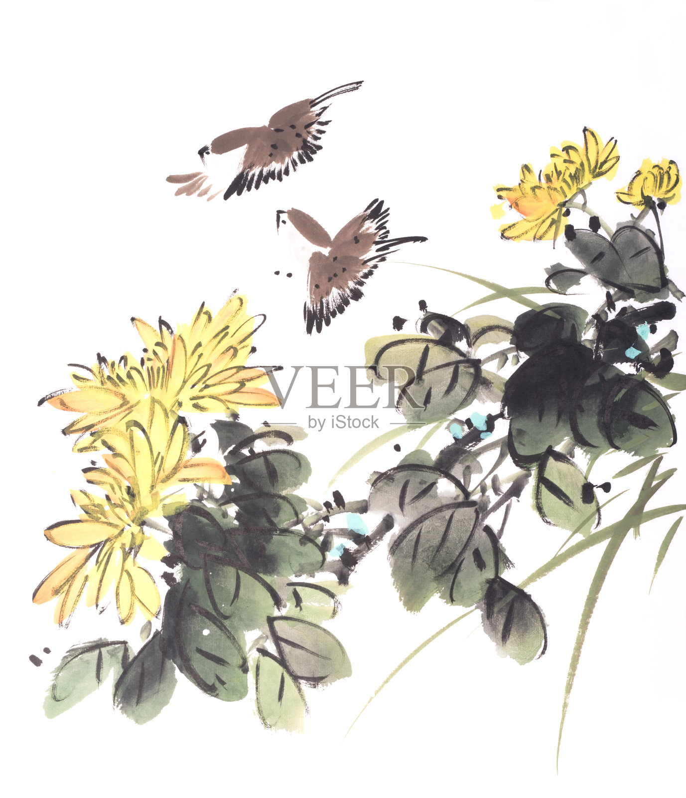 菊花和鸟。传统东方水墨画插画图片素材