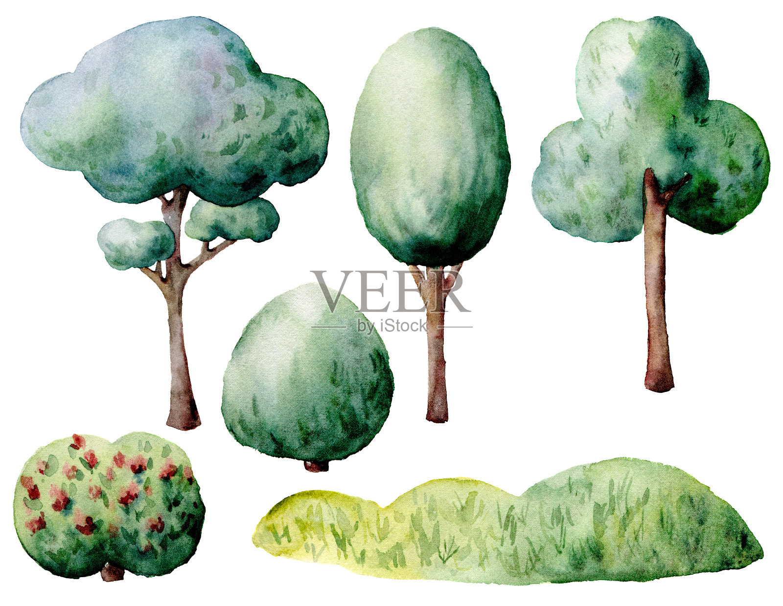 水彩绿树和灌木设置。手绘的自然元素孤立在白色的背景。森林插图设计，印刷。插画图片素材