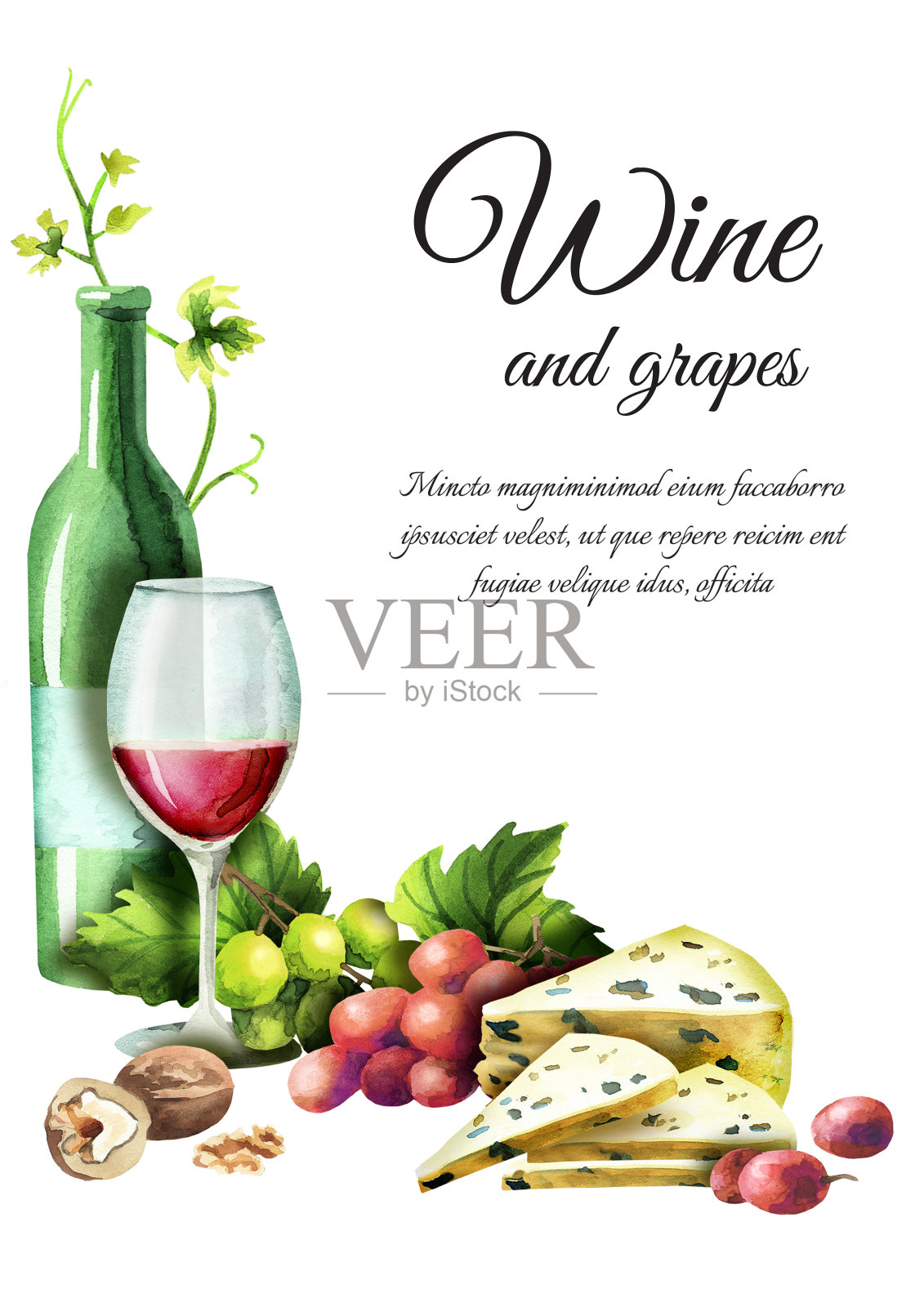 葡萄酒和葡萄模板。水彩背景插画图片素材