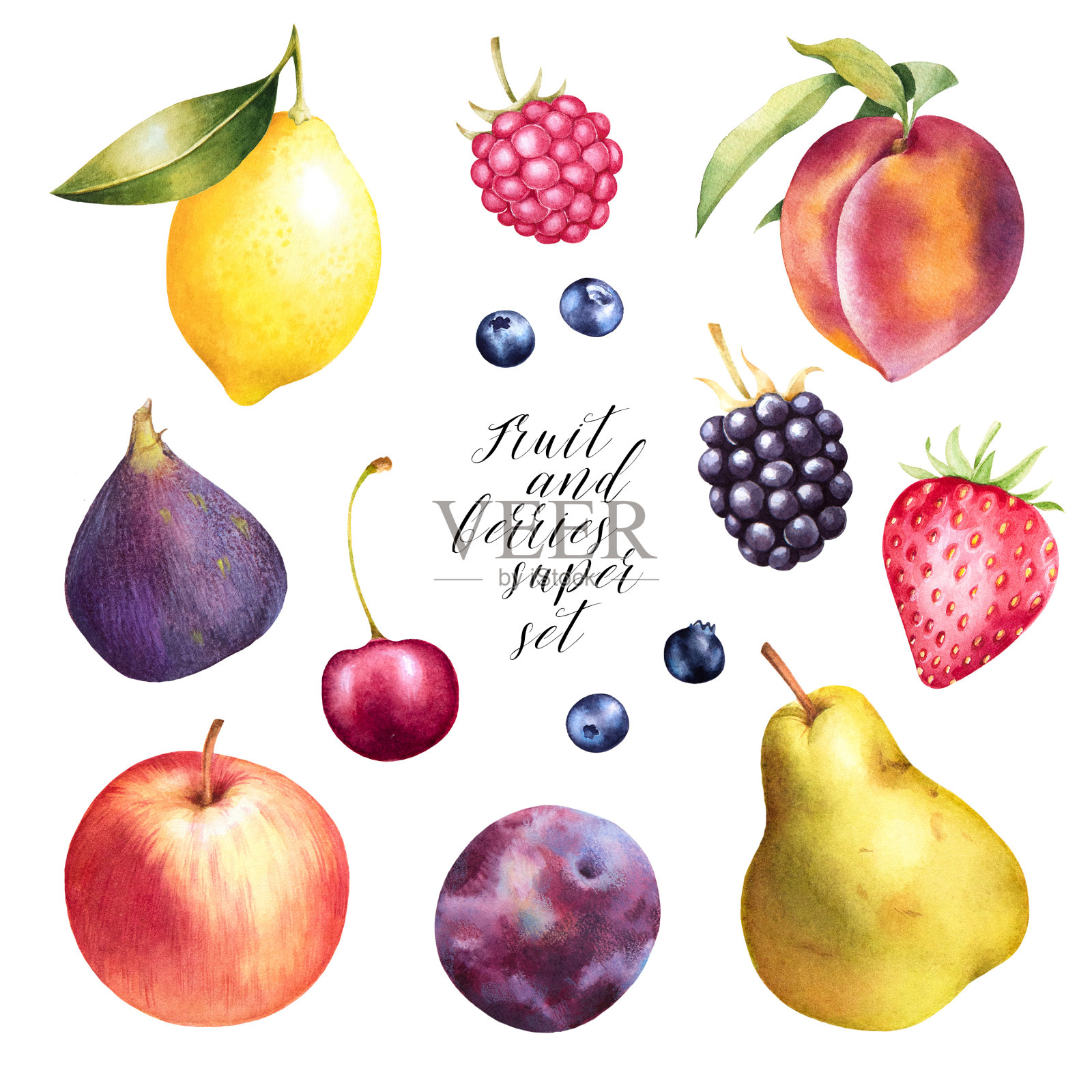 苹果、梨、桃、覆盆子、蓝莓、草莓、无花果、李子、樱桃手绘套装。插画图片素材