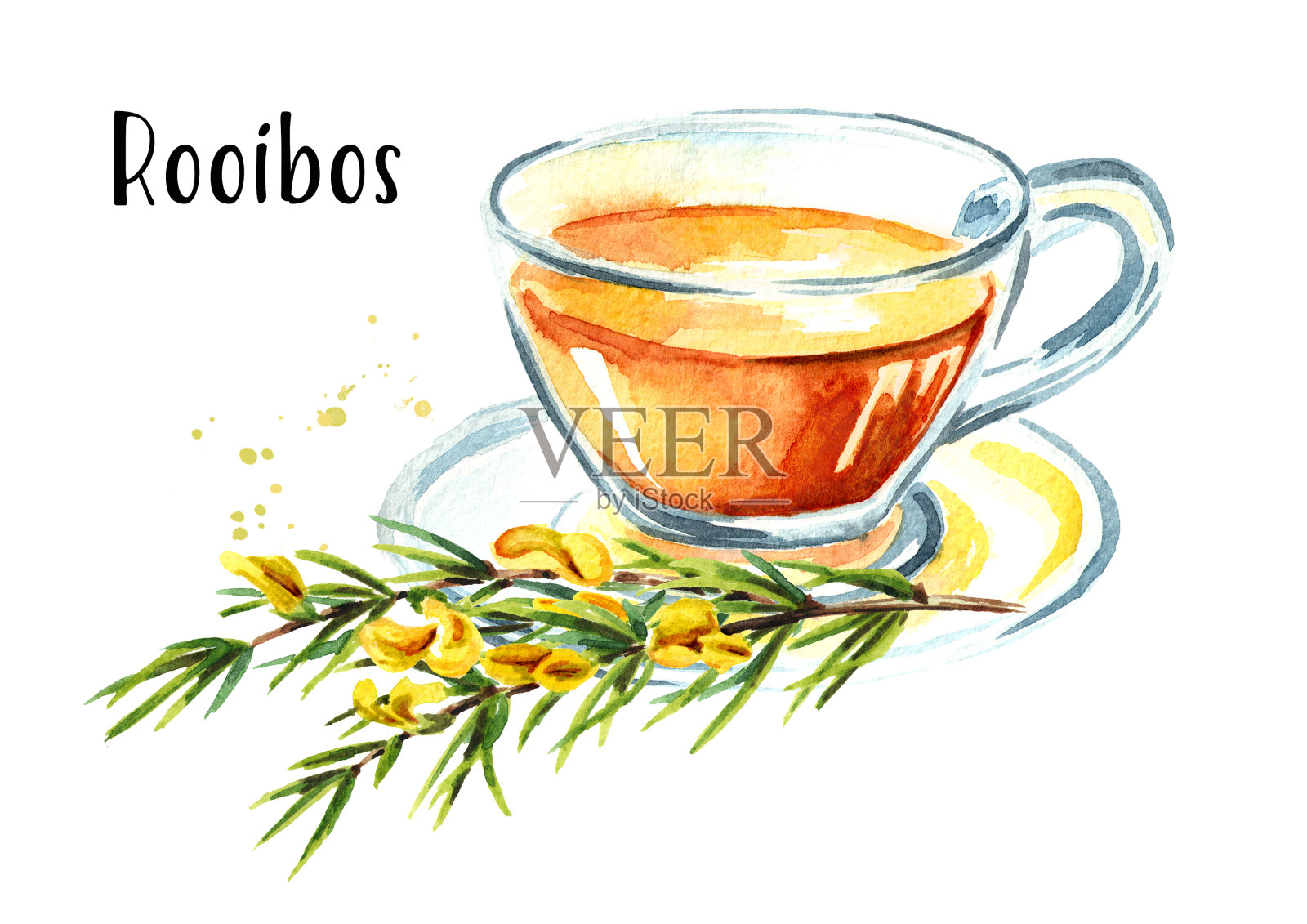 一杯健康的有机茶，用的是一种草本植物。水彩手绘插图孤立的白色背景插画图片素材