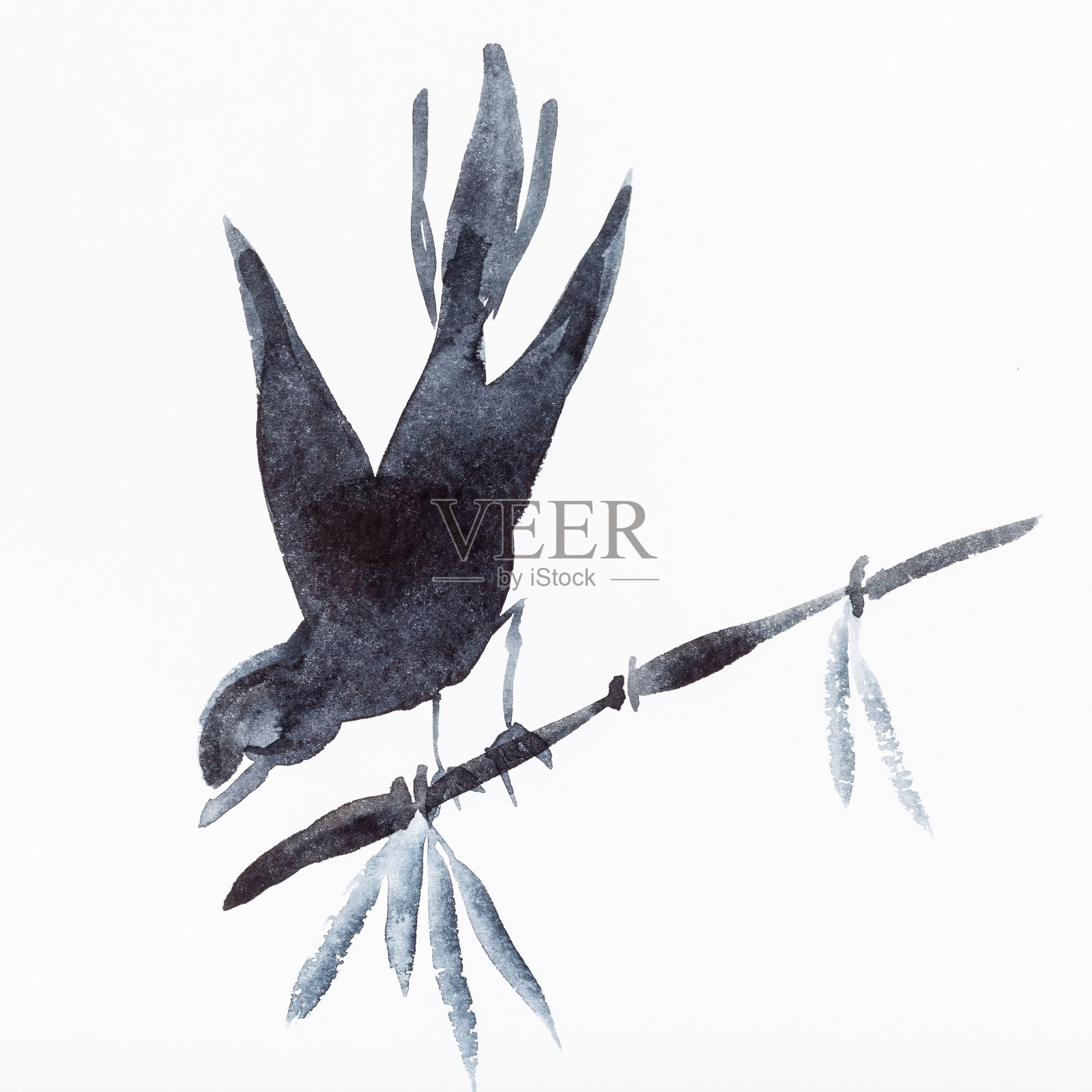 黑色水彩画竹枝上的鸟插画图片素材