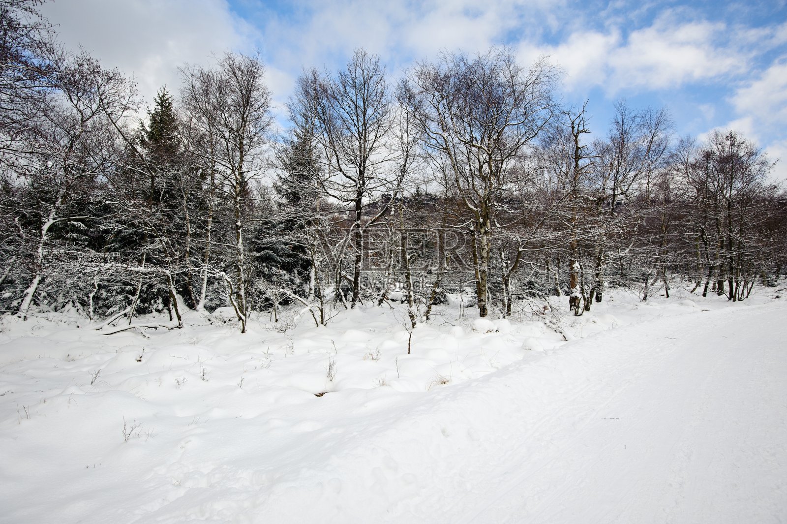 冬天的景色被雪覆盖着照片摄影图片