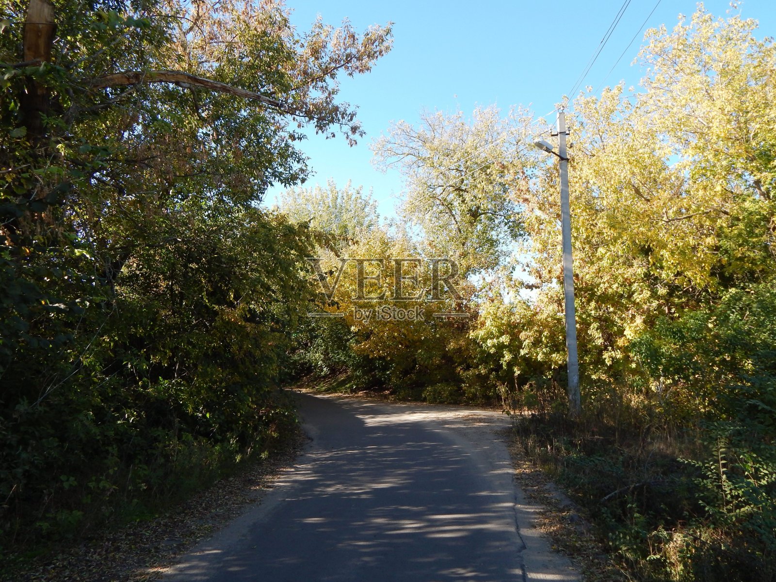 夏天的乡村公路。柏油路穿过森林。路边的落叶树。这张照片。照片摄影图片