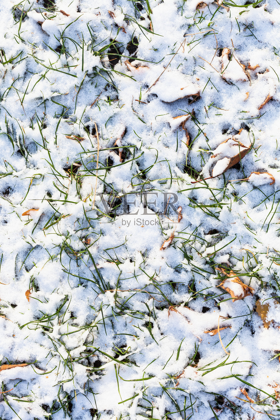 俯视图草坪覆盖着第一场雪照片摄影图片