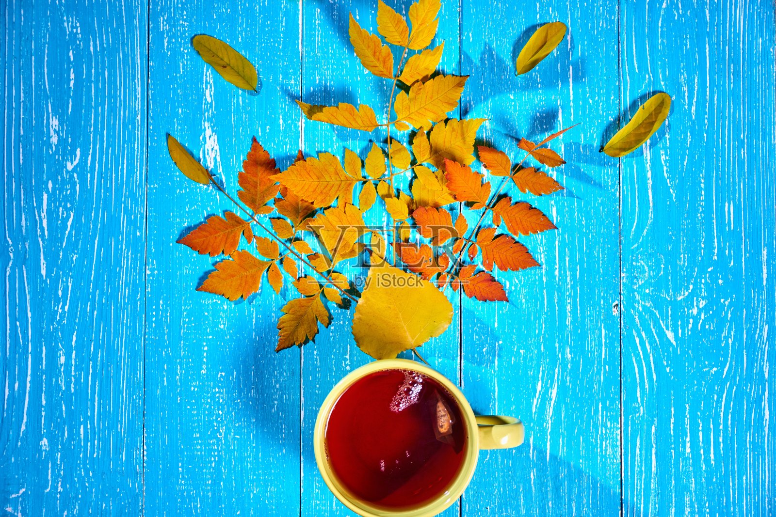 广场秋天的图片与一杯热茶靠近秋天的叶子在蓝色的背景照片摄影图片