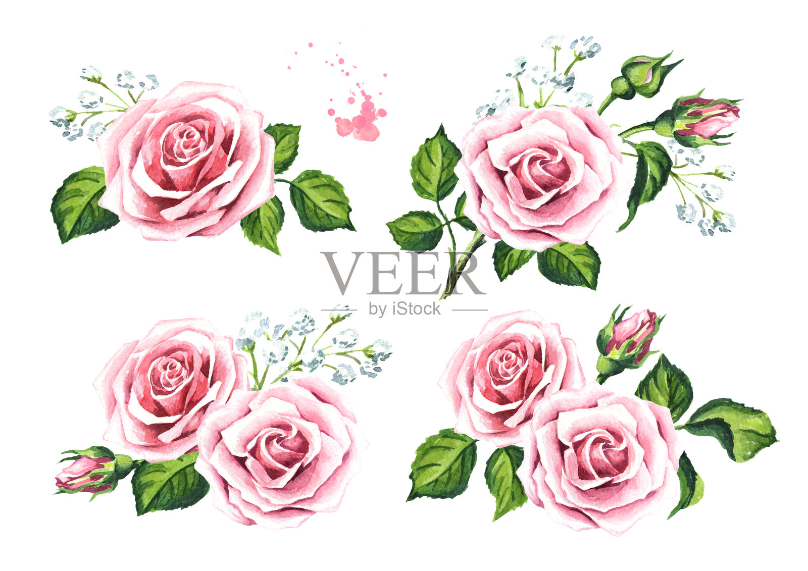 粉红色的玫瑰花和gypsophila集。卡片、请柬和纺织品的设计元素。水彩手绘插图，孤立的白色背景插画图片素材
