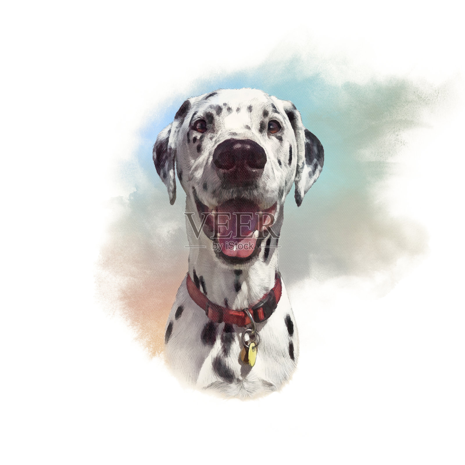 斑点狗的肖像。插画图片素材